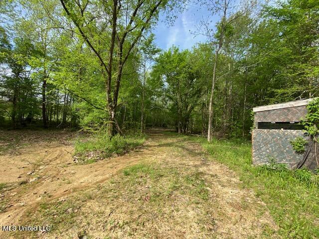 108 Shinault Road Property Photo 10