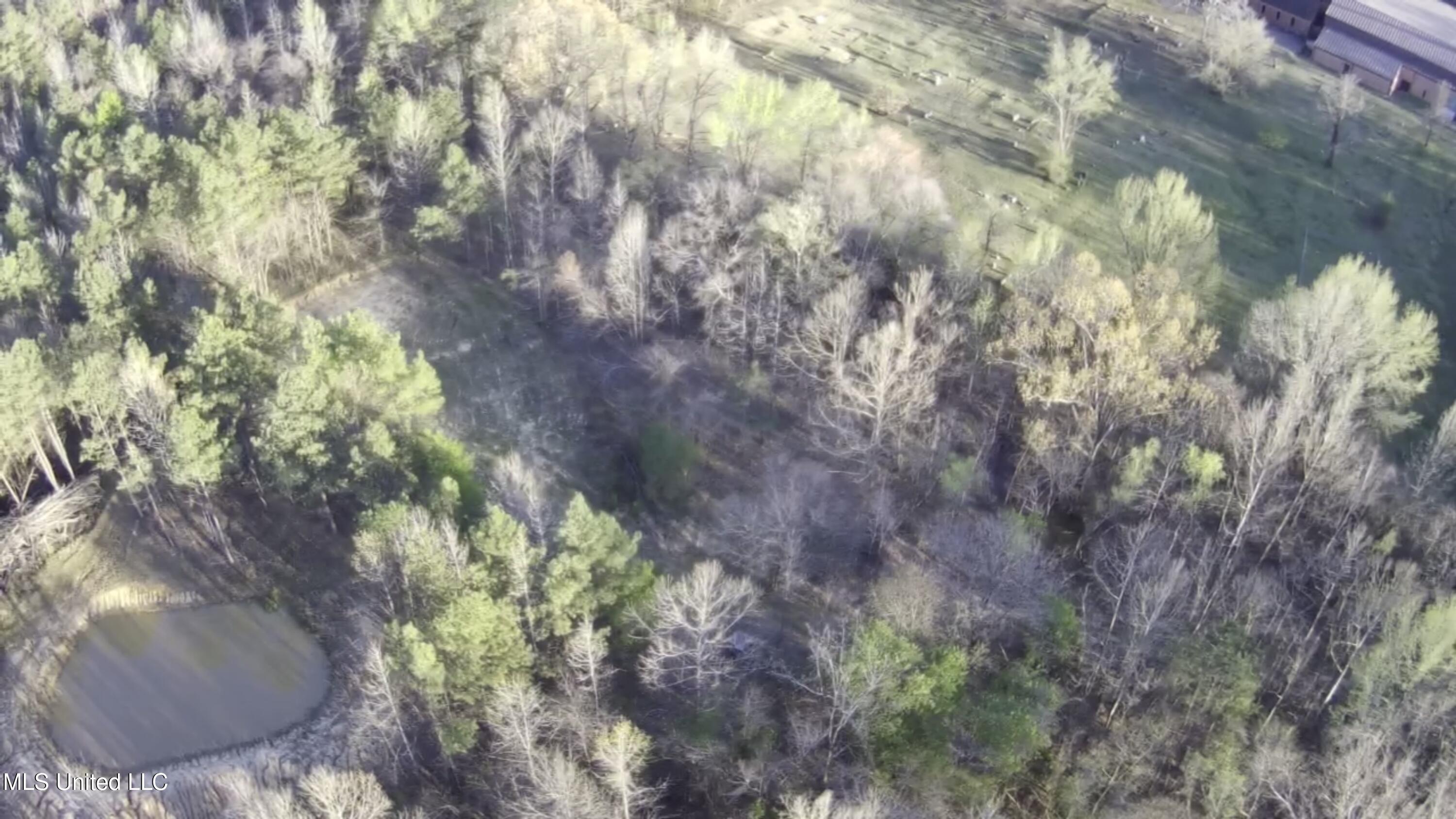 108 Shinault Road Property Photo 11