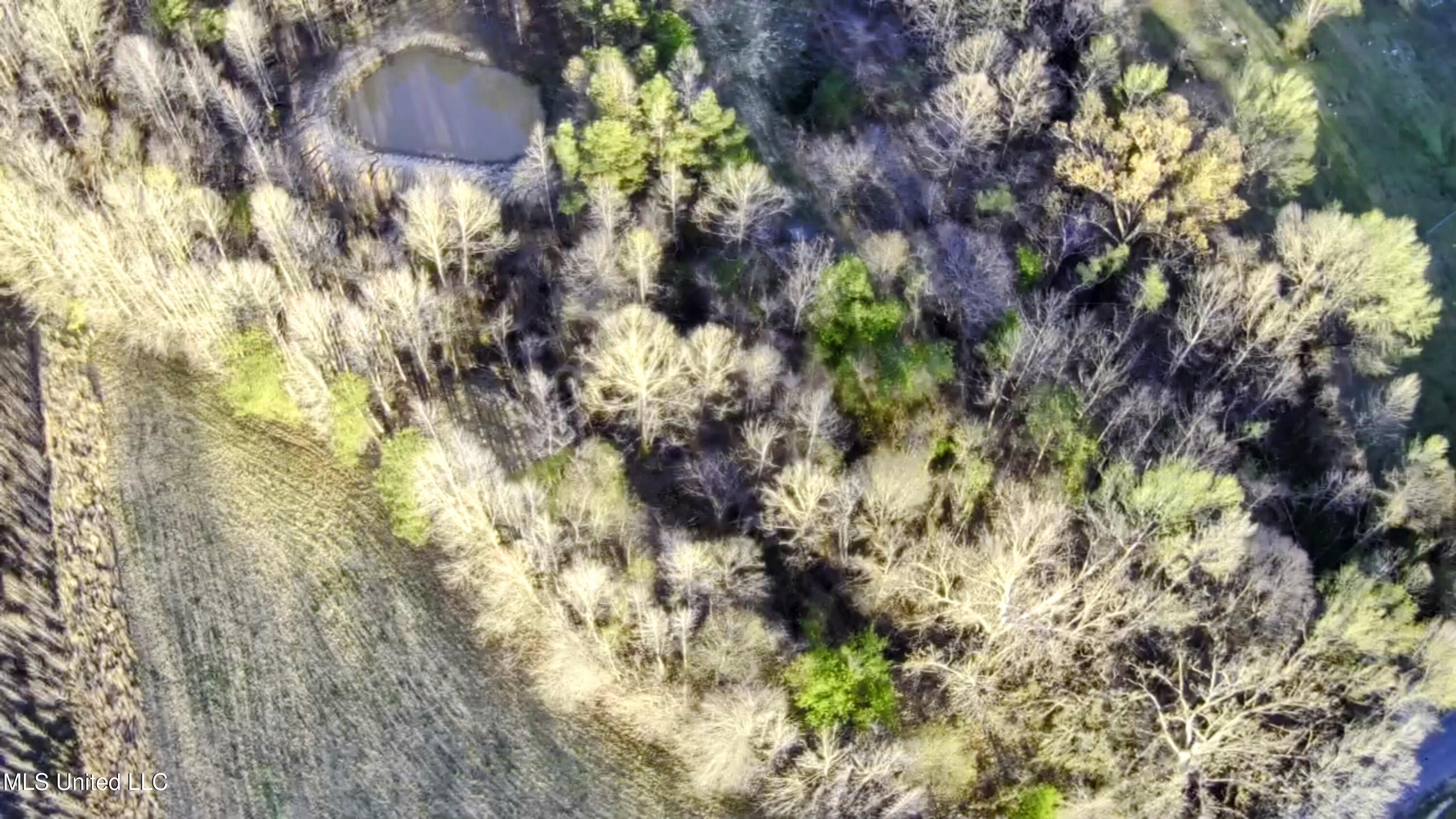 108 Shinault Road Property Photo 12