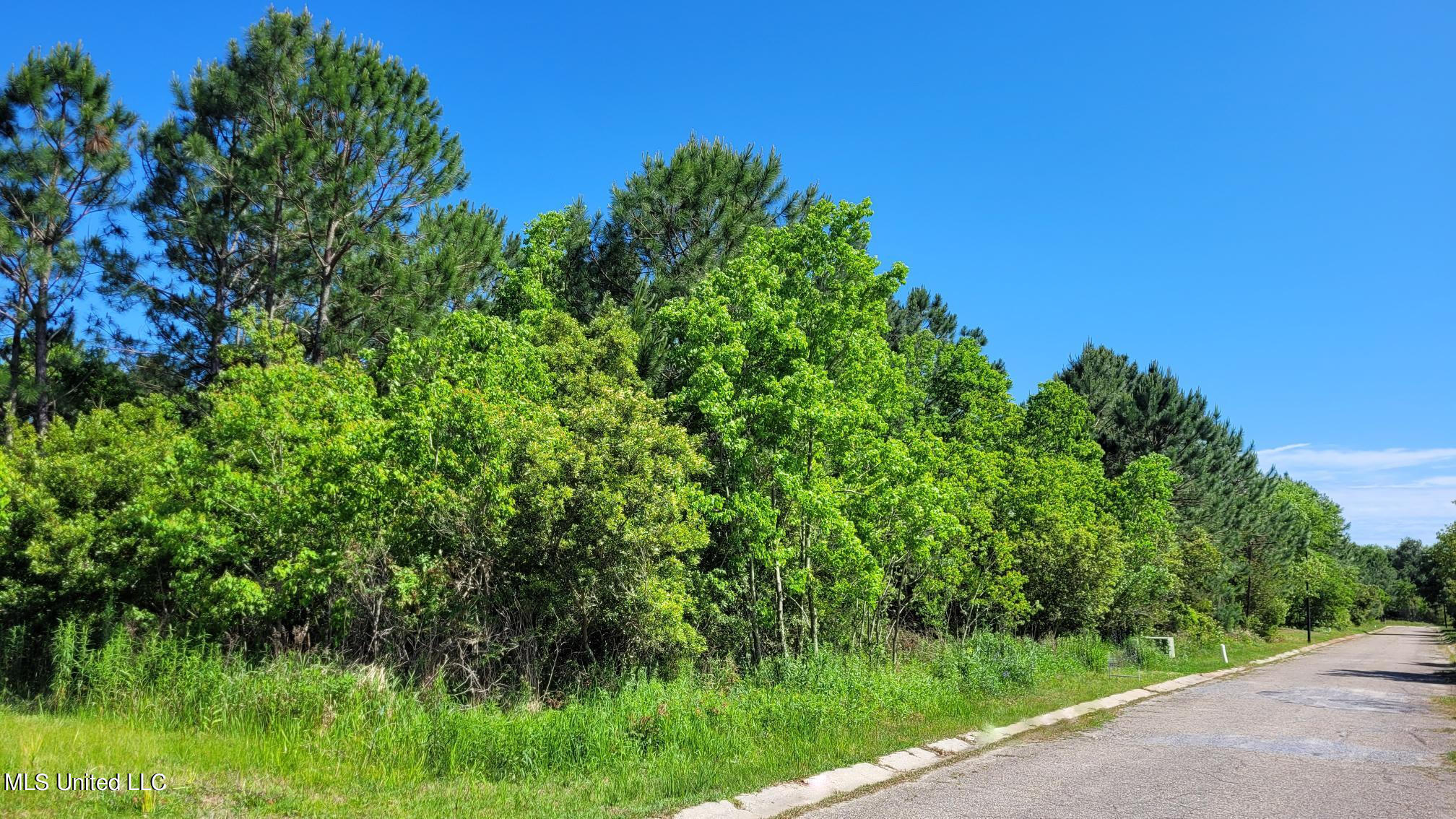 Pelican Cove Lane Property Photo 8