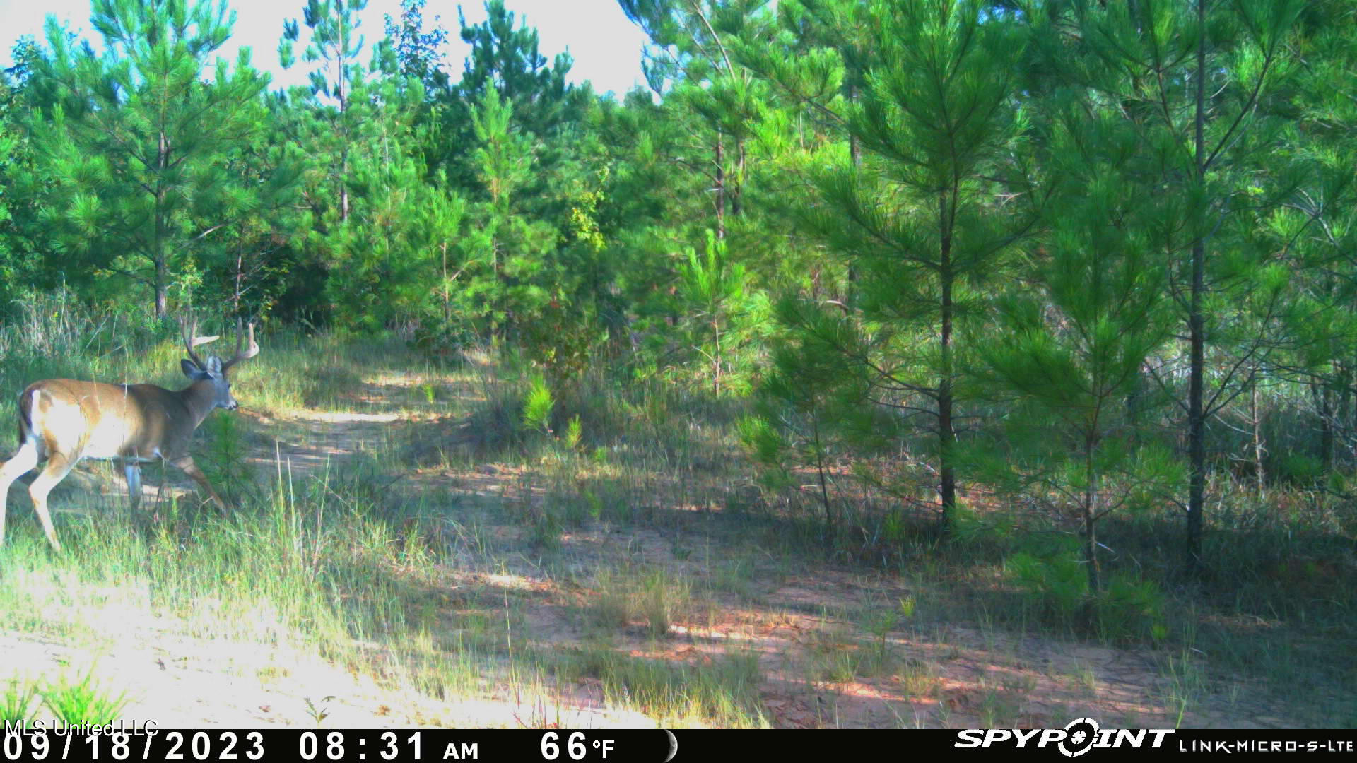 0 County Road 3222 Property Photo 5