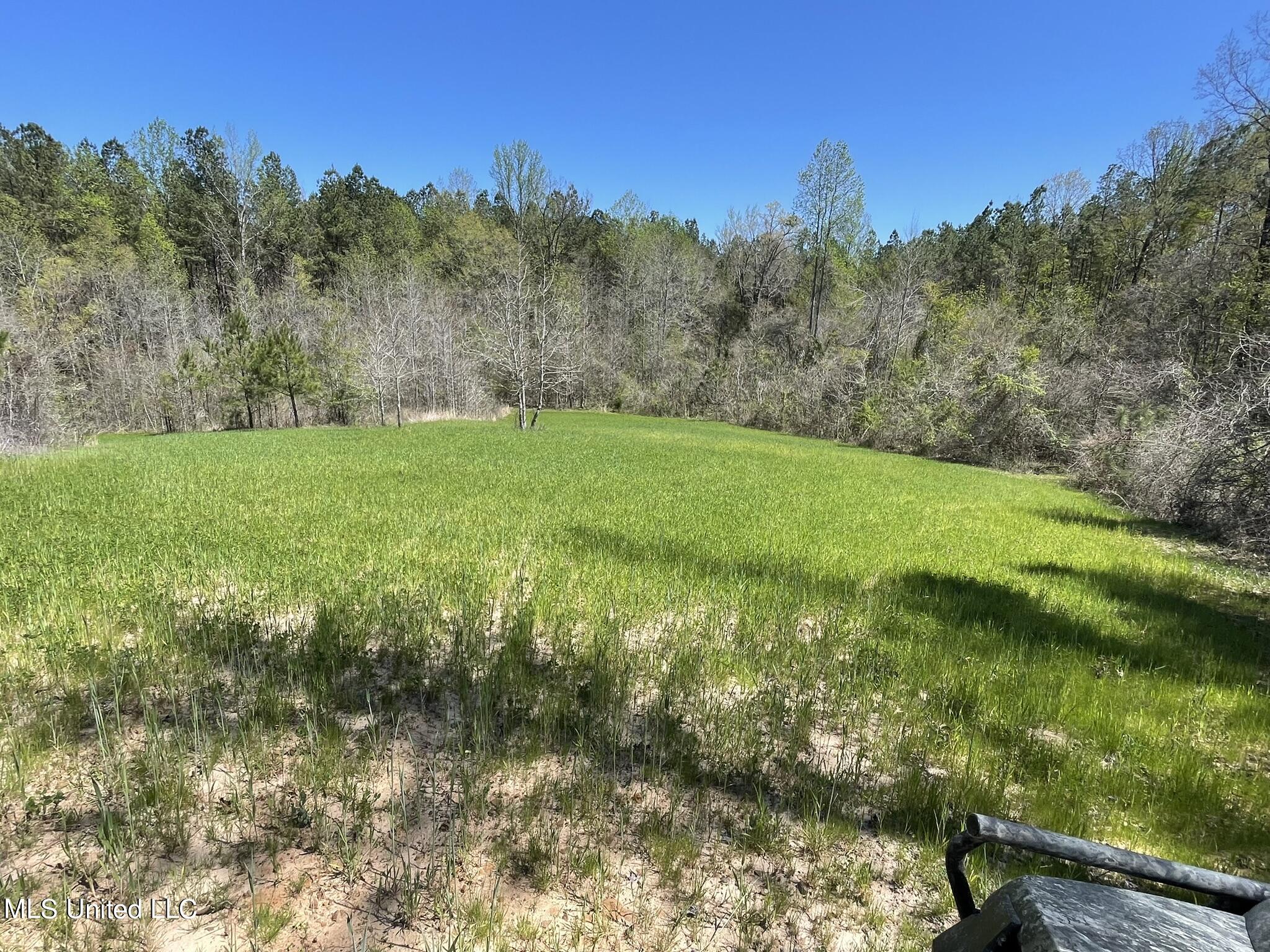 0 County Road 3222 Property Photo 9