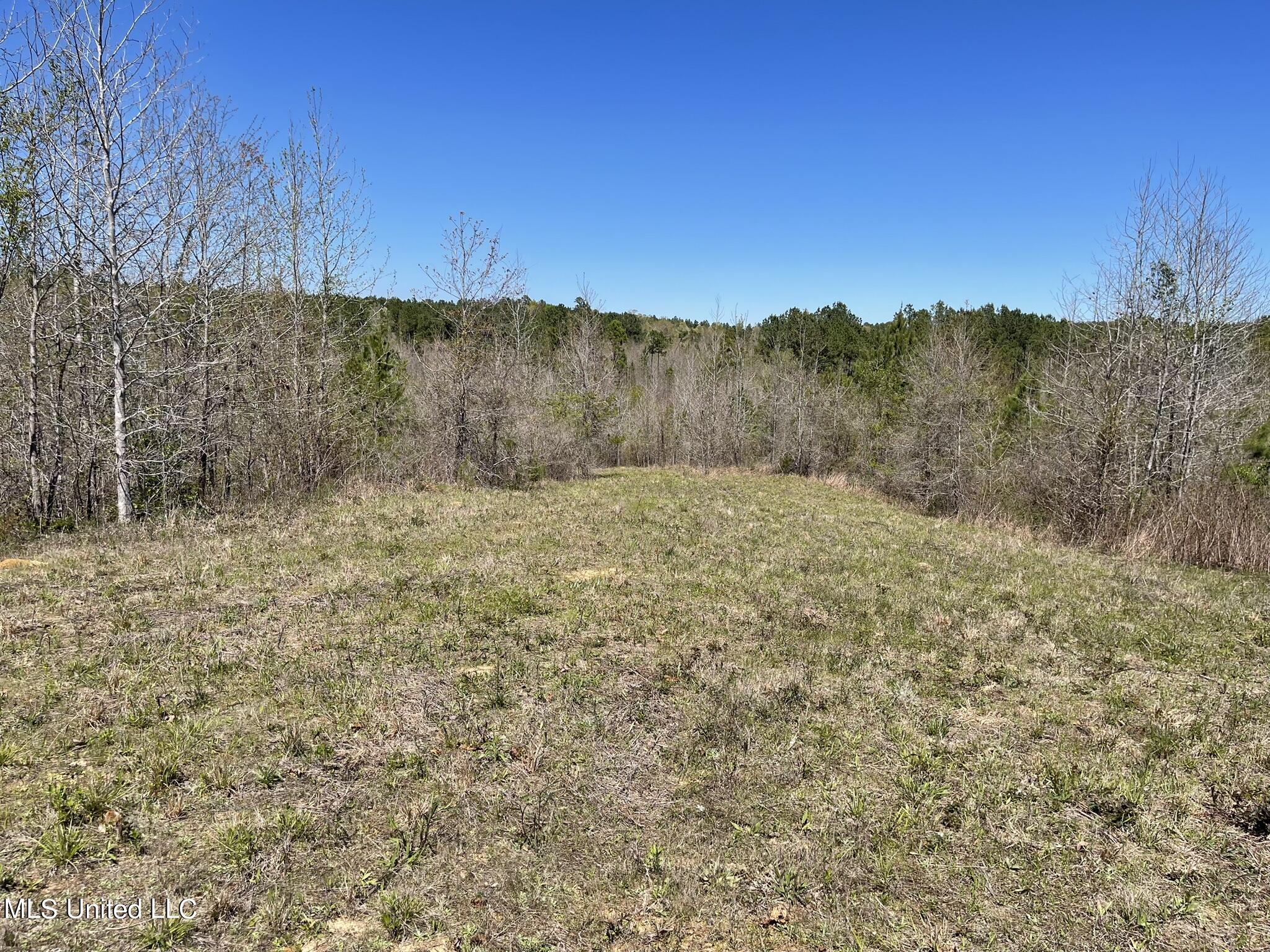 0 County Road 3222 Property Photo 12