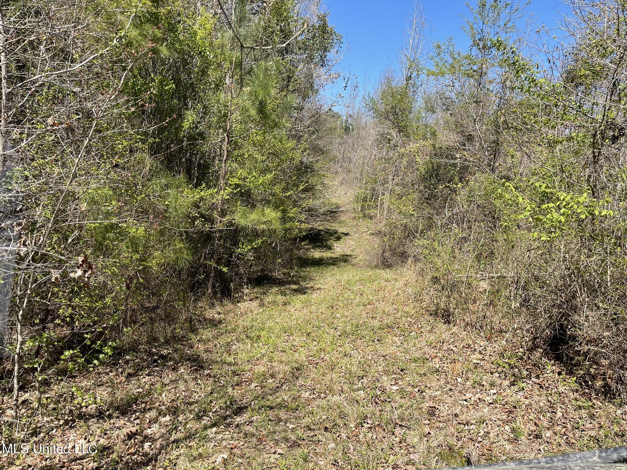 0 County Road 3222 Property Photo 13