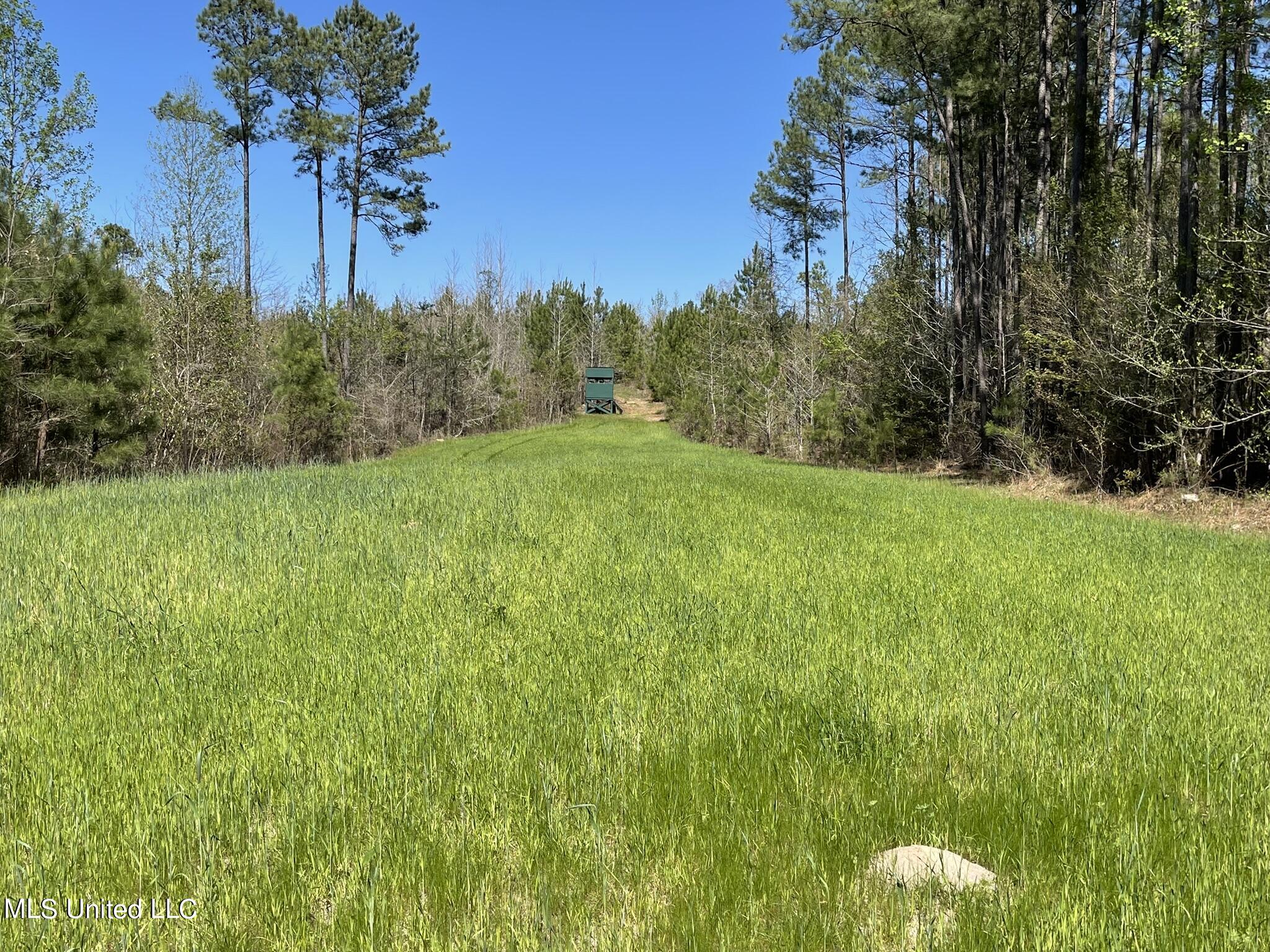 0 County Road 3222 Property Photo 15