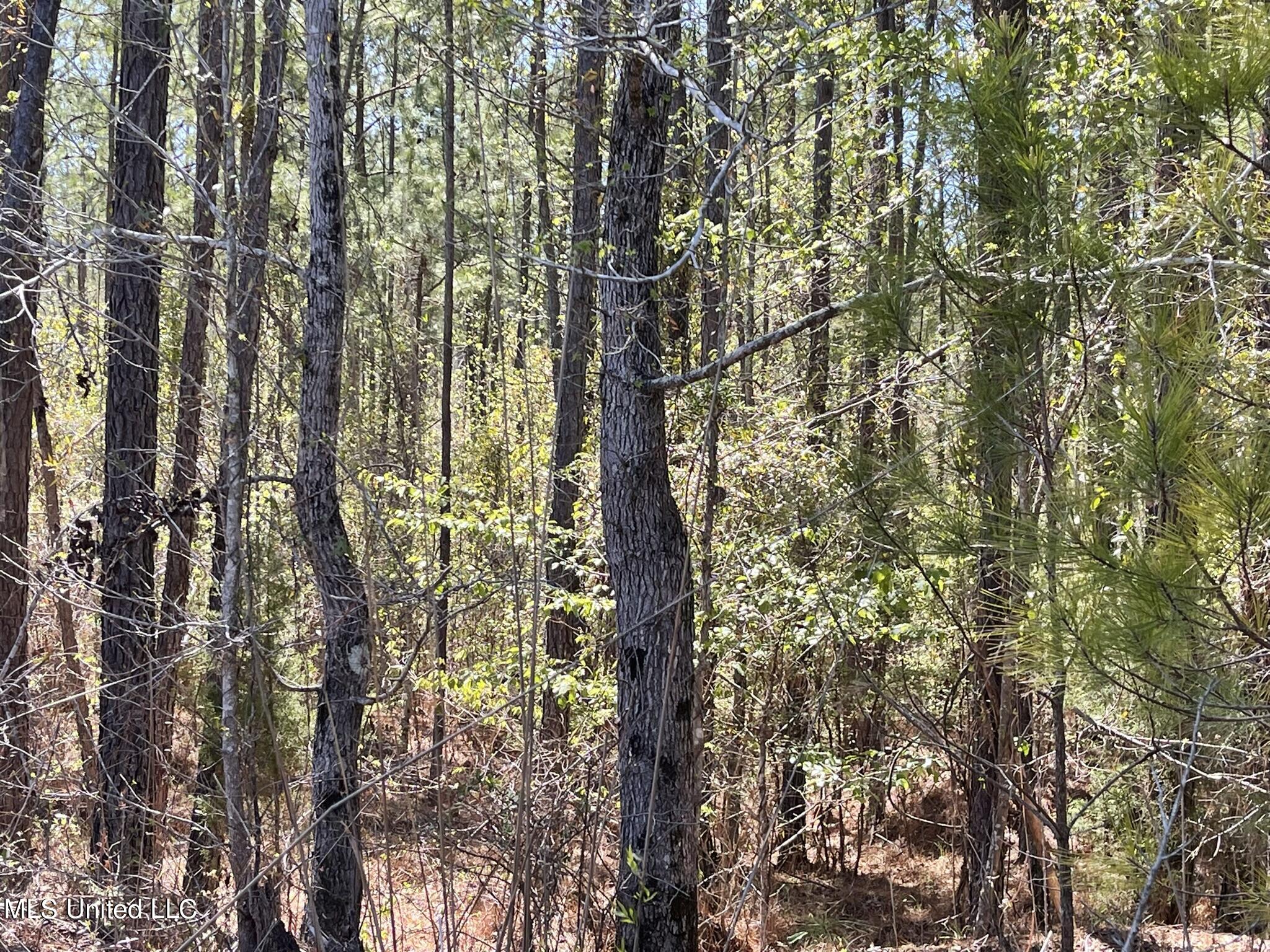 0 County Road 3222 Property Photo 16