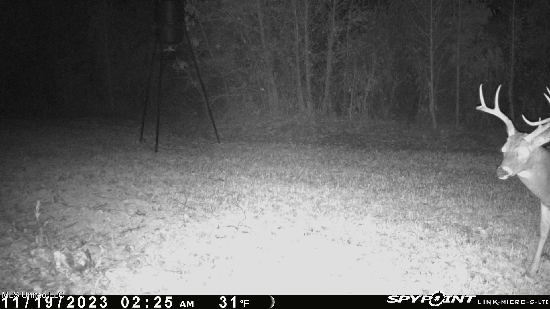 0 County Road 3222 Property Photo 18