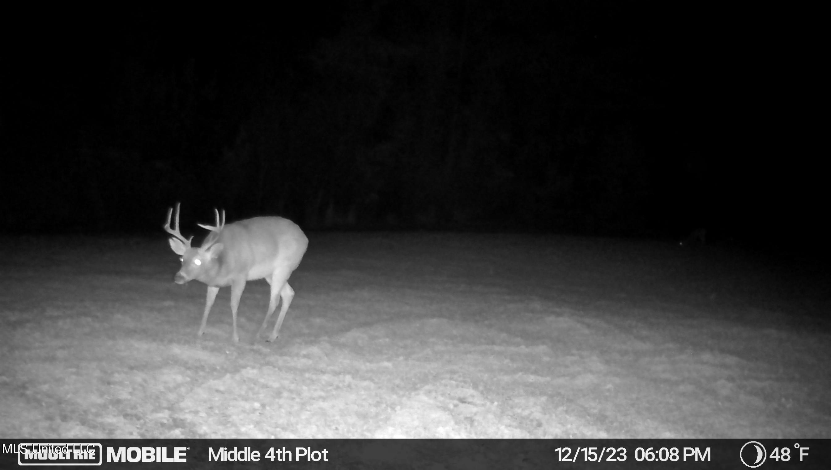 0 County Road 3222 Property Photo 20