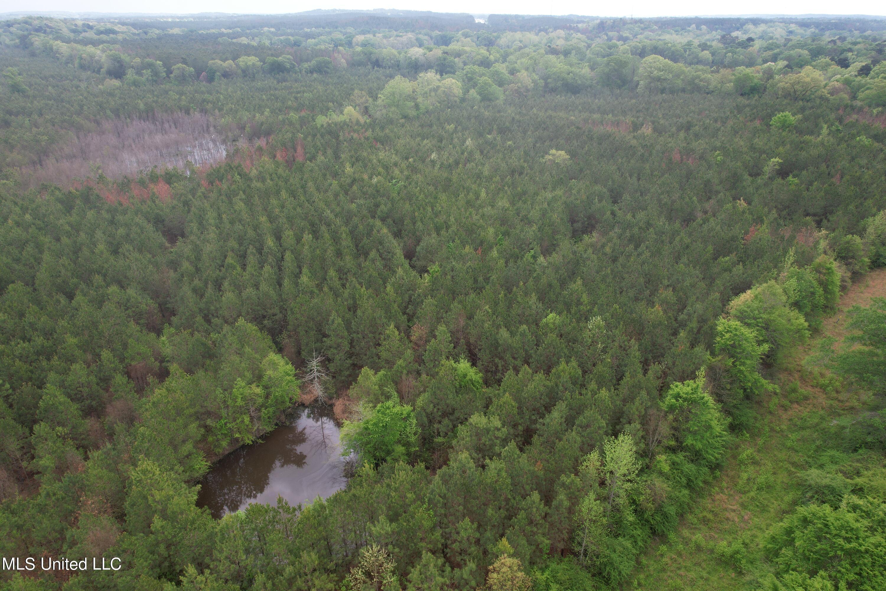 Campbell Creek Road Property Photo 5