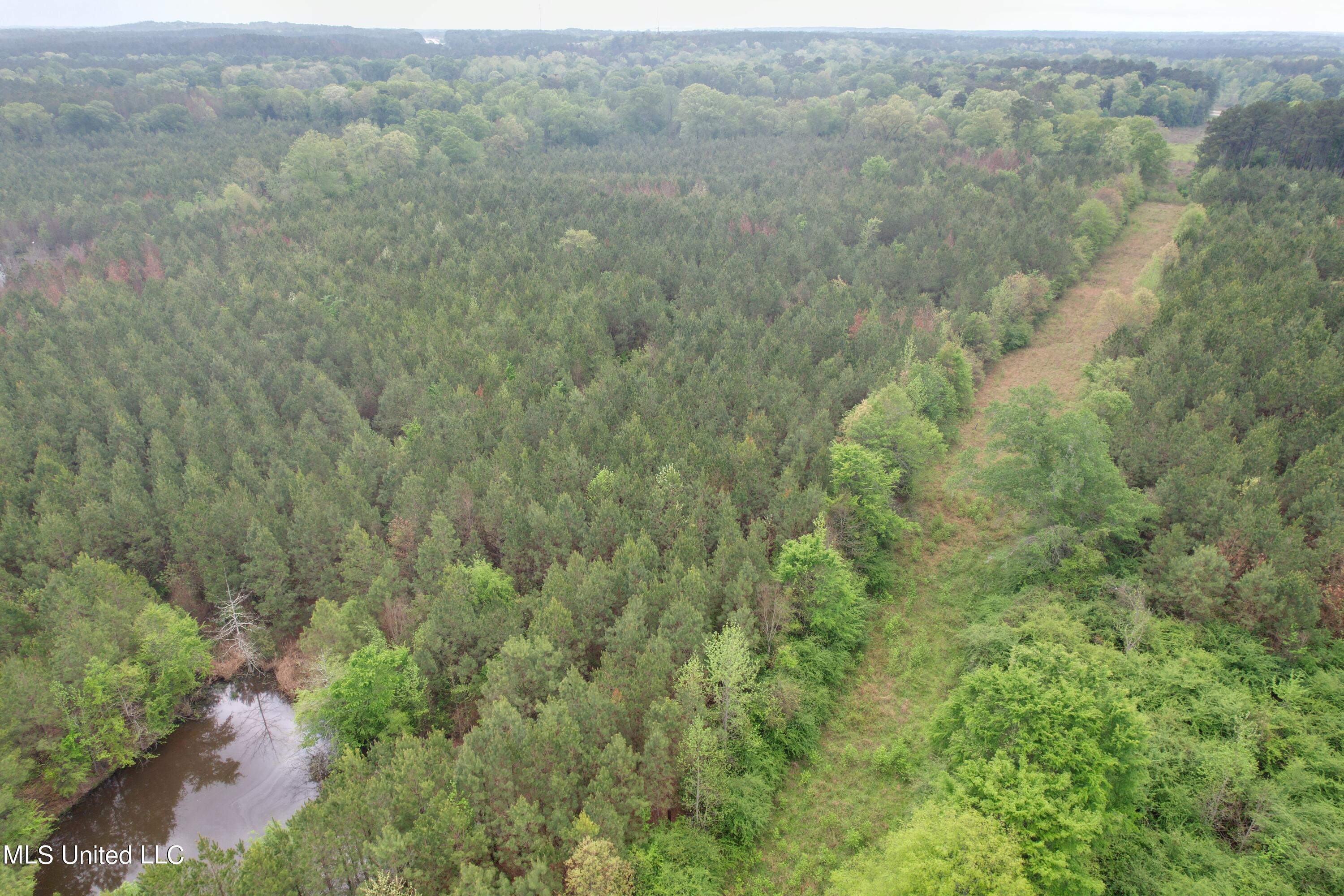 Campbell Creek Road Property Photo 6