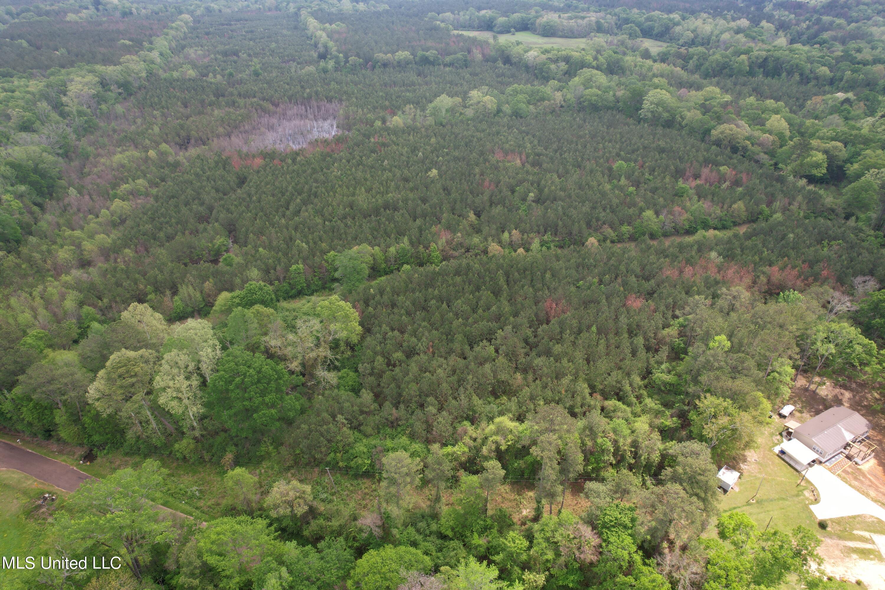 Campbell Creek Road Property Photo 9