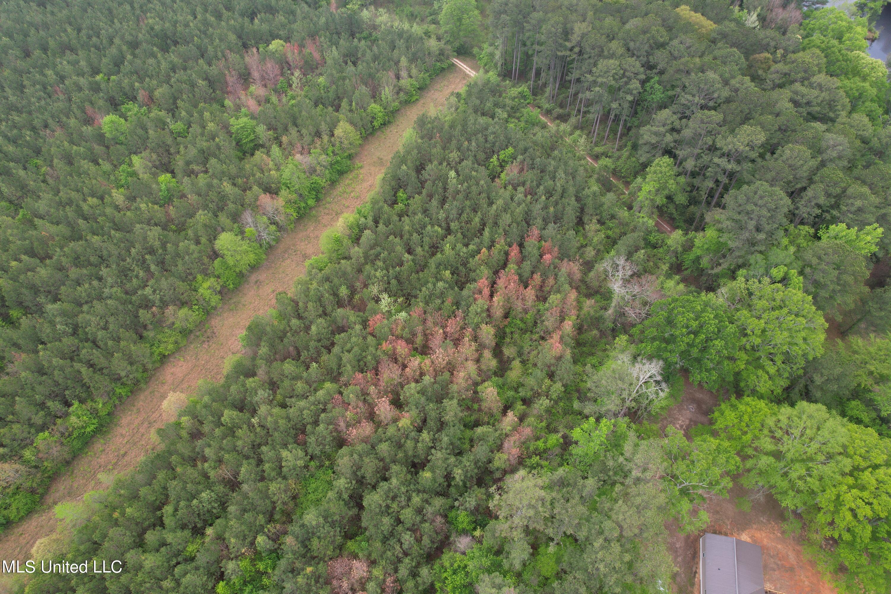 Campbell Creek Road Property Photo 10