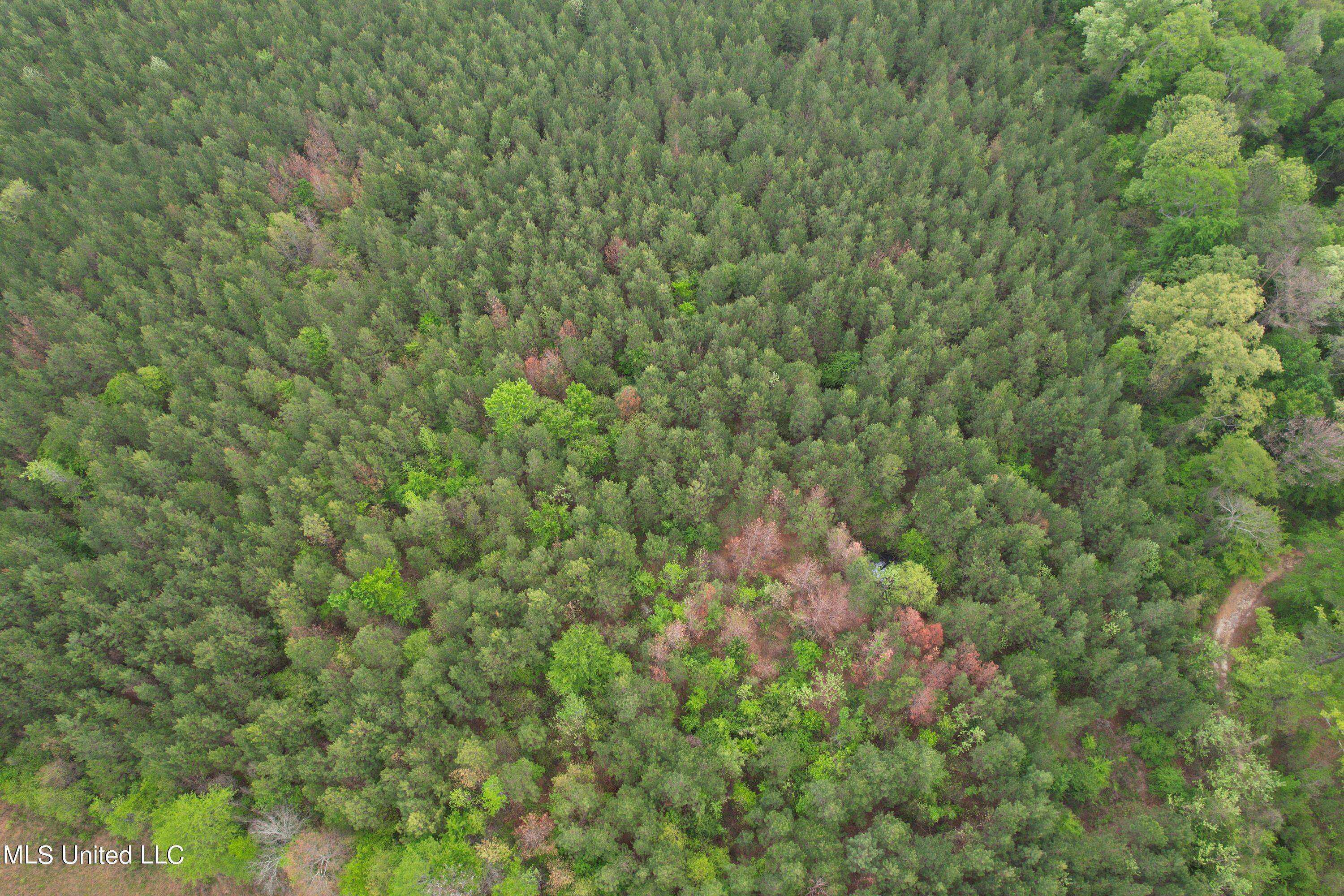 Campbell Creek Road Property Photo 11