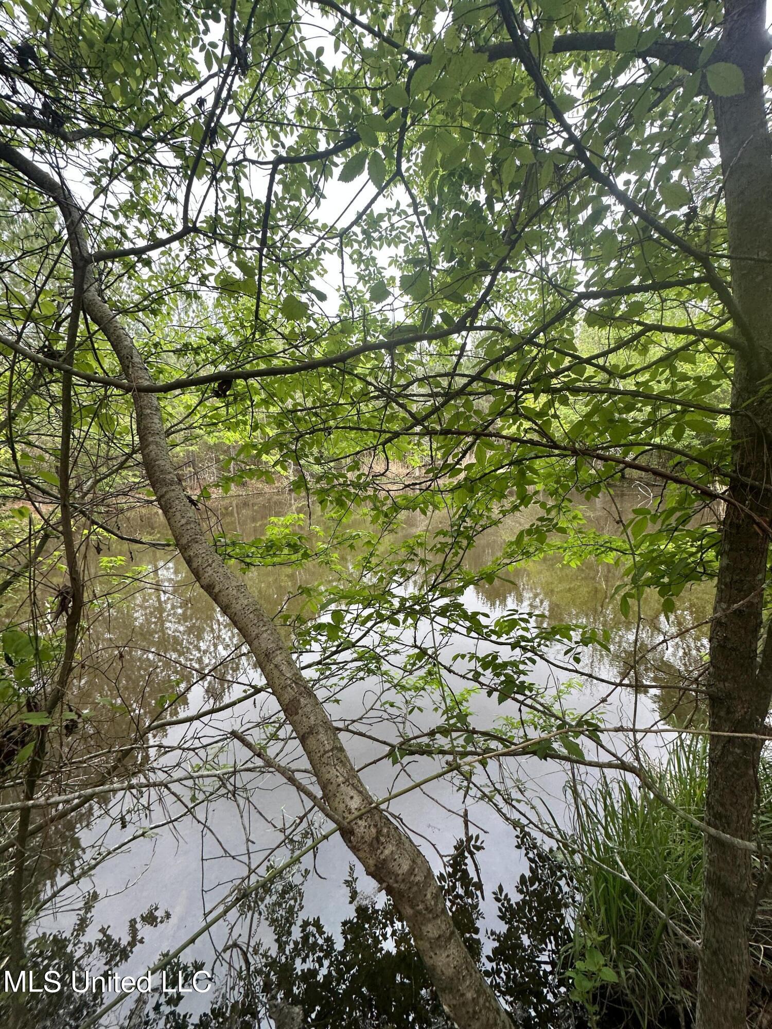 Campbell Creek Road Property Photo 17