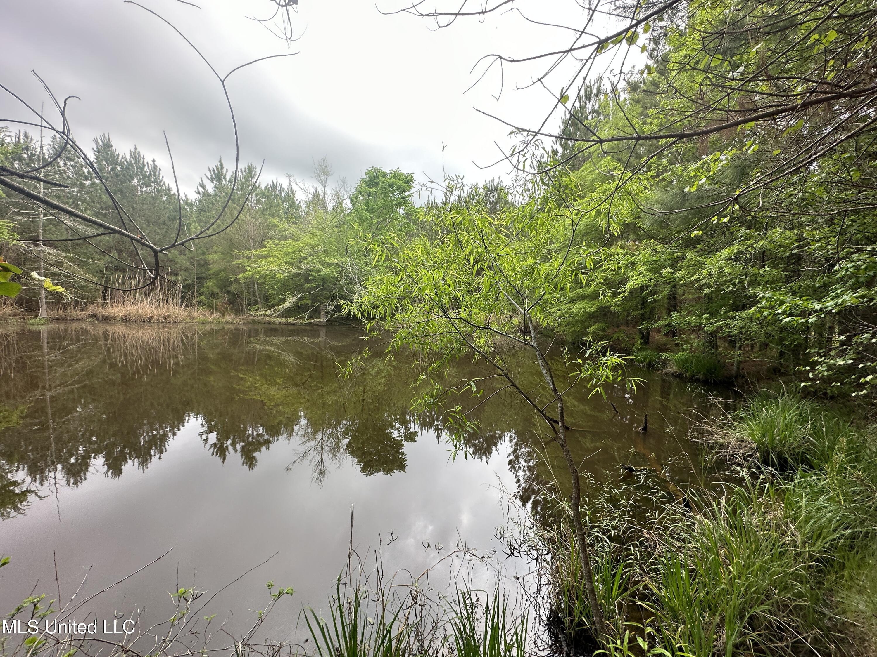 Campbell Creek Road Property Photo 18