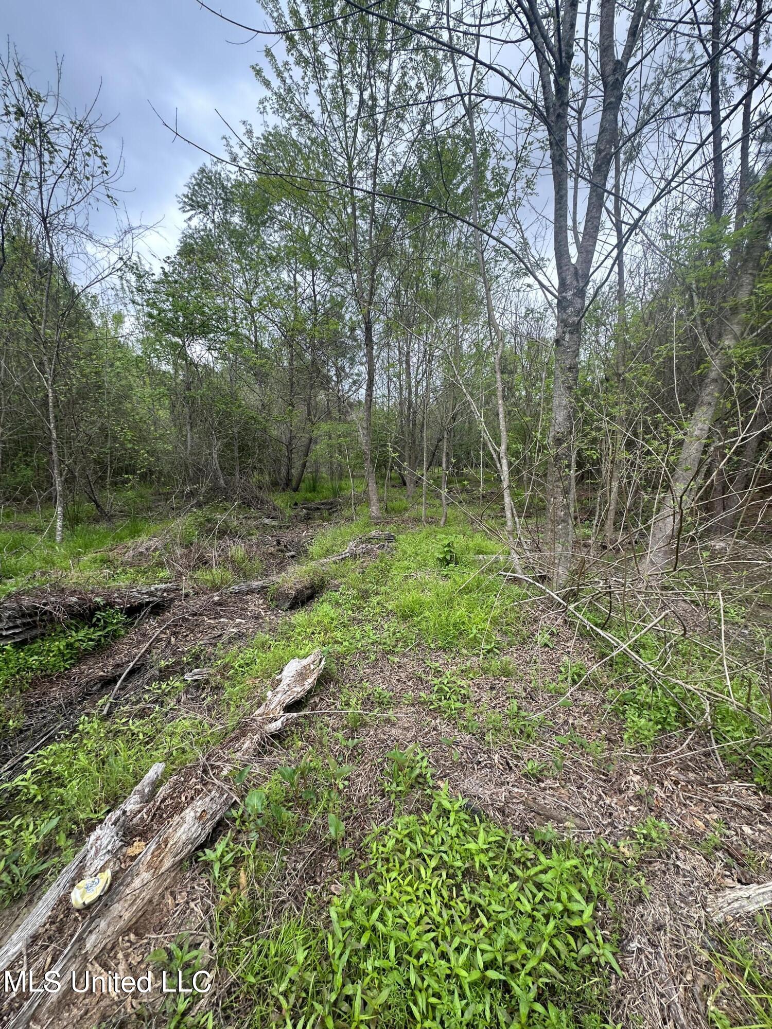 Campbell Creek Road Property Photo 20