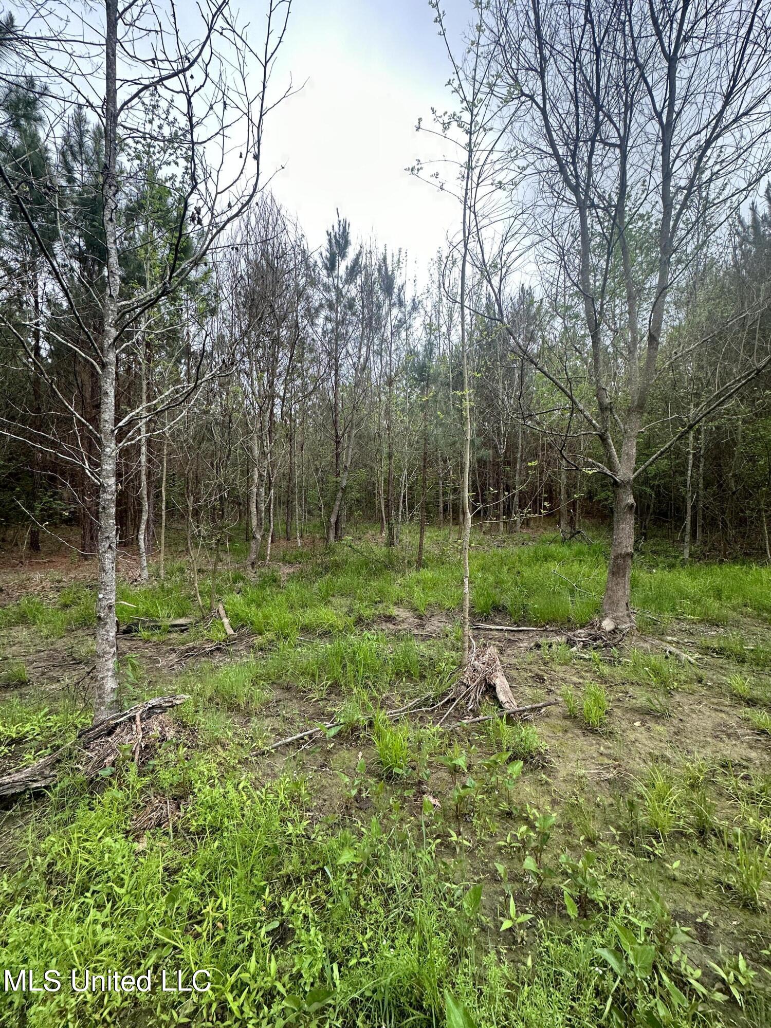 Campbell Creek Road Property Photo 21