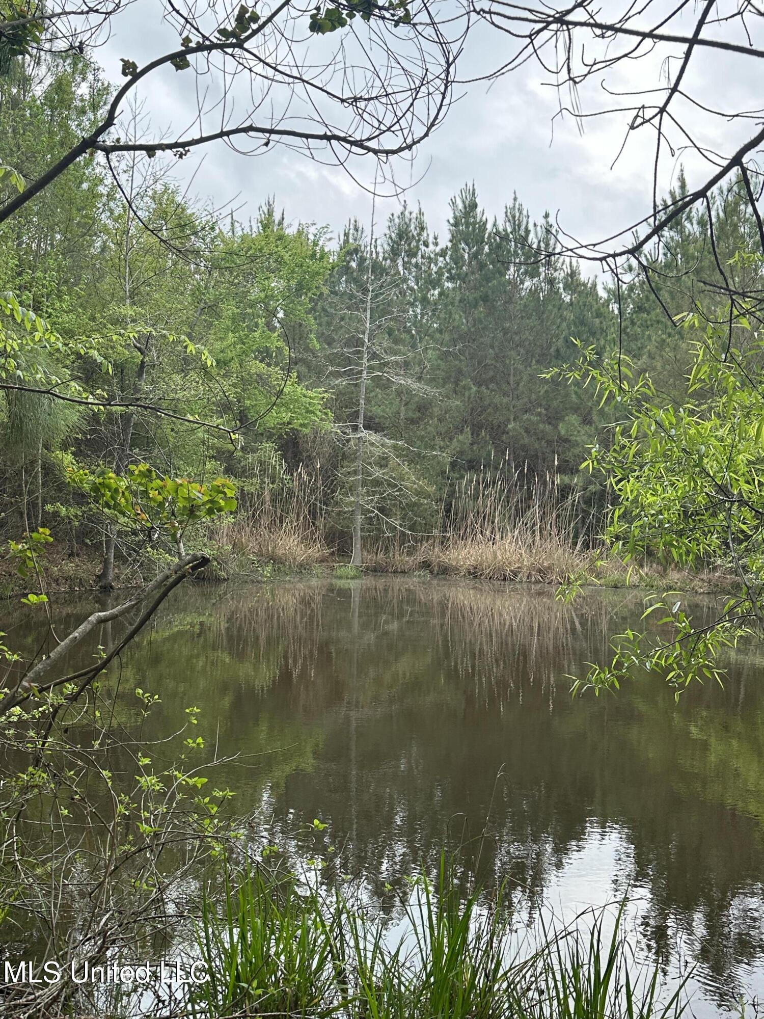 Campbell Creek Road Property Photo 22