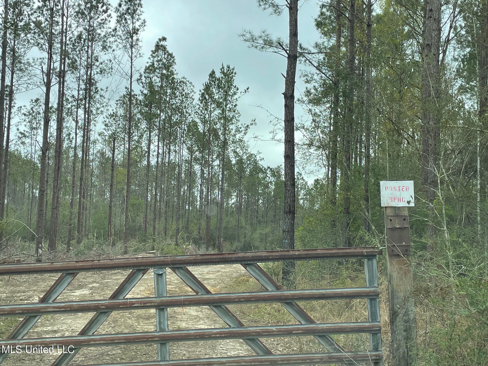 Deerwood Road Property Photo 4