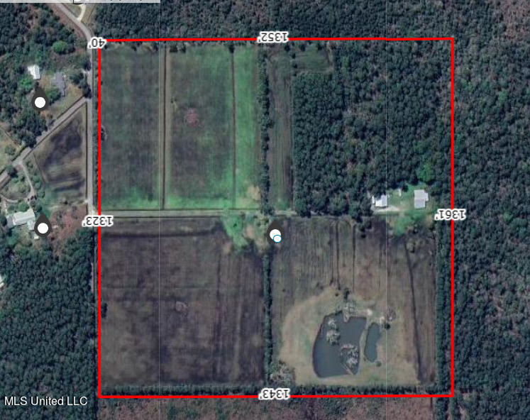 6067 Dan Garcia Road Property Photo 15