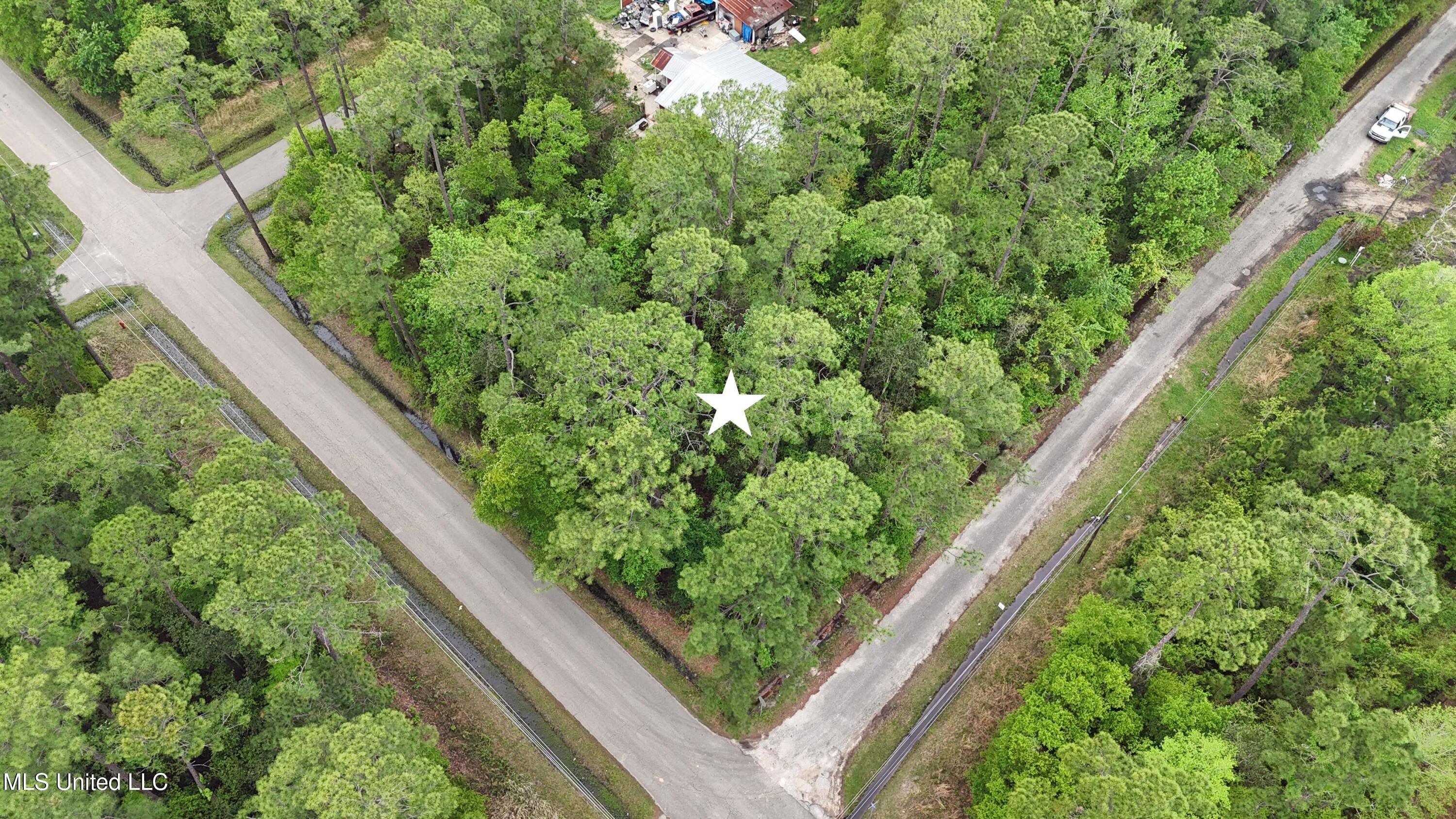 4125 Mediterranean Street Property Photo 4
