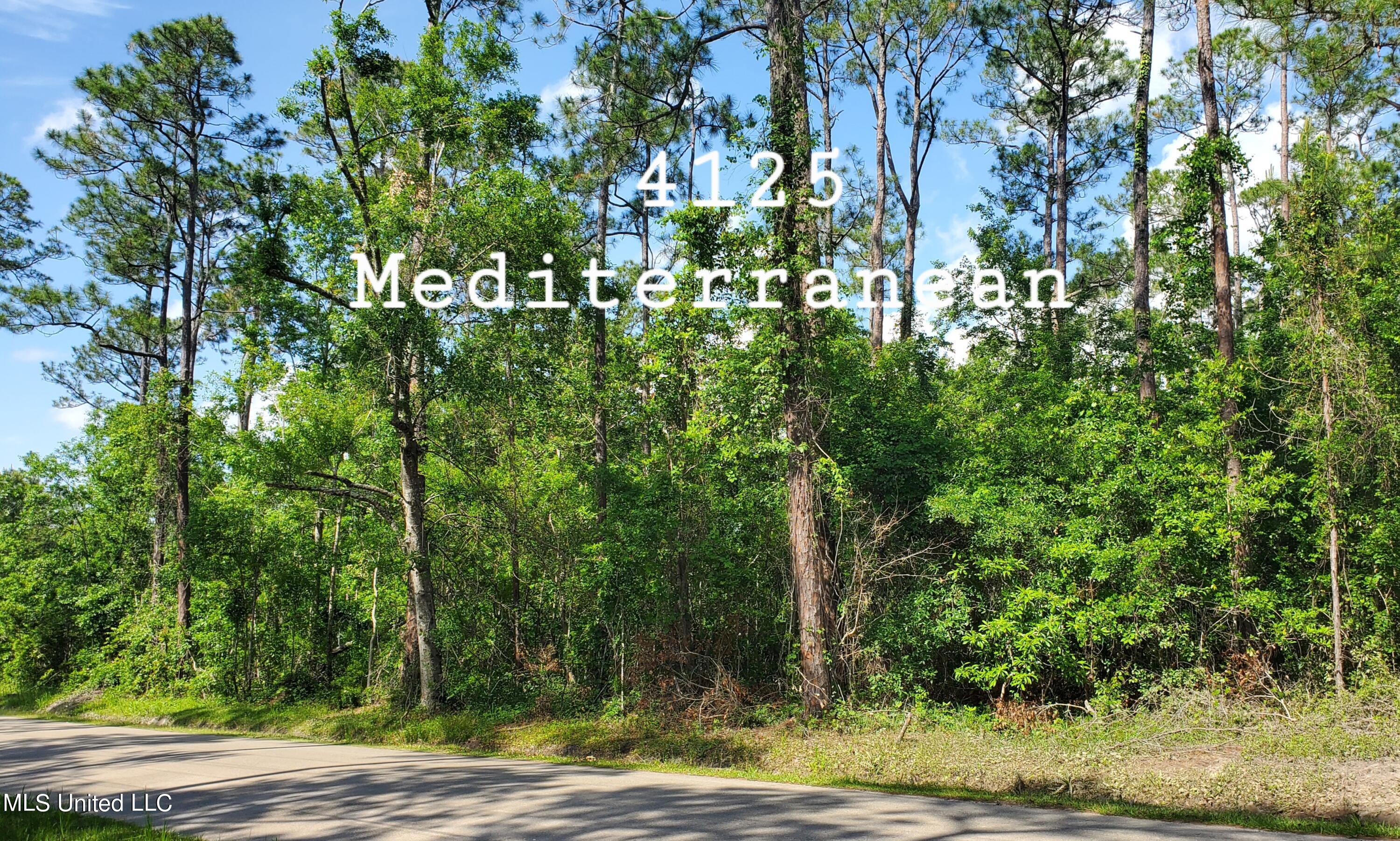 4125 Mediterranean Street Property Photo 5
