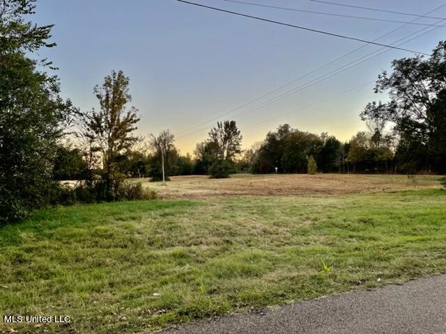 Highway 305 Property Photo 2