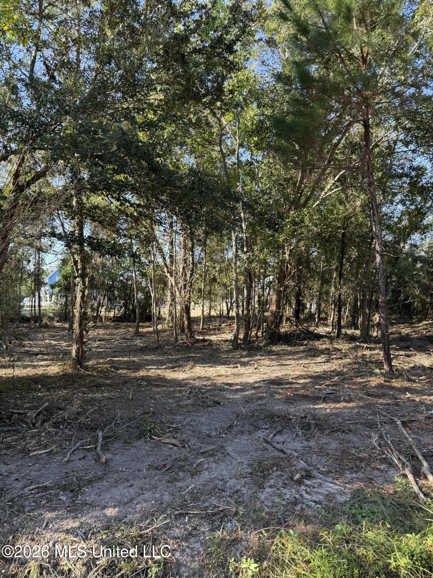 Sandy Street Property Photo 1