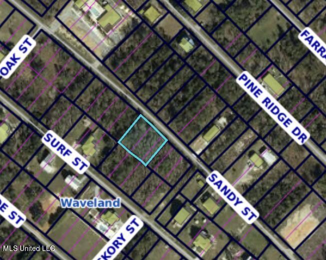 Sandy Street Property Photo 4