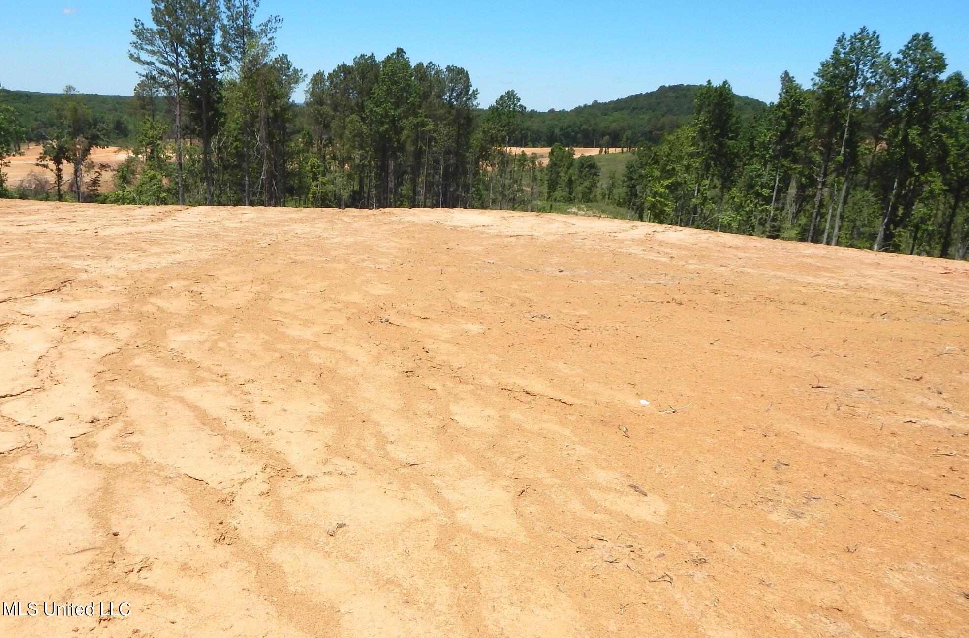 101 Hugh White State Park Road Property Photo 1