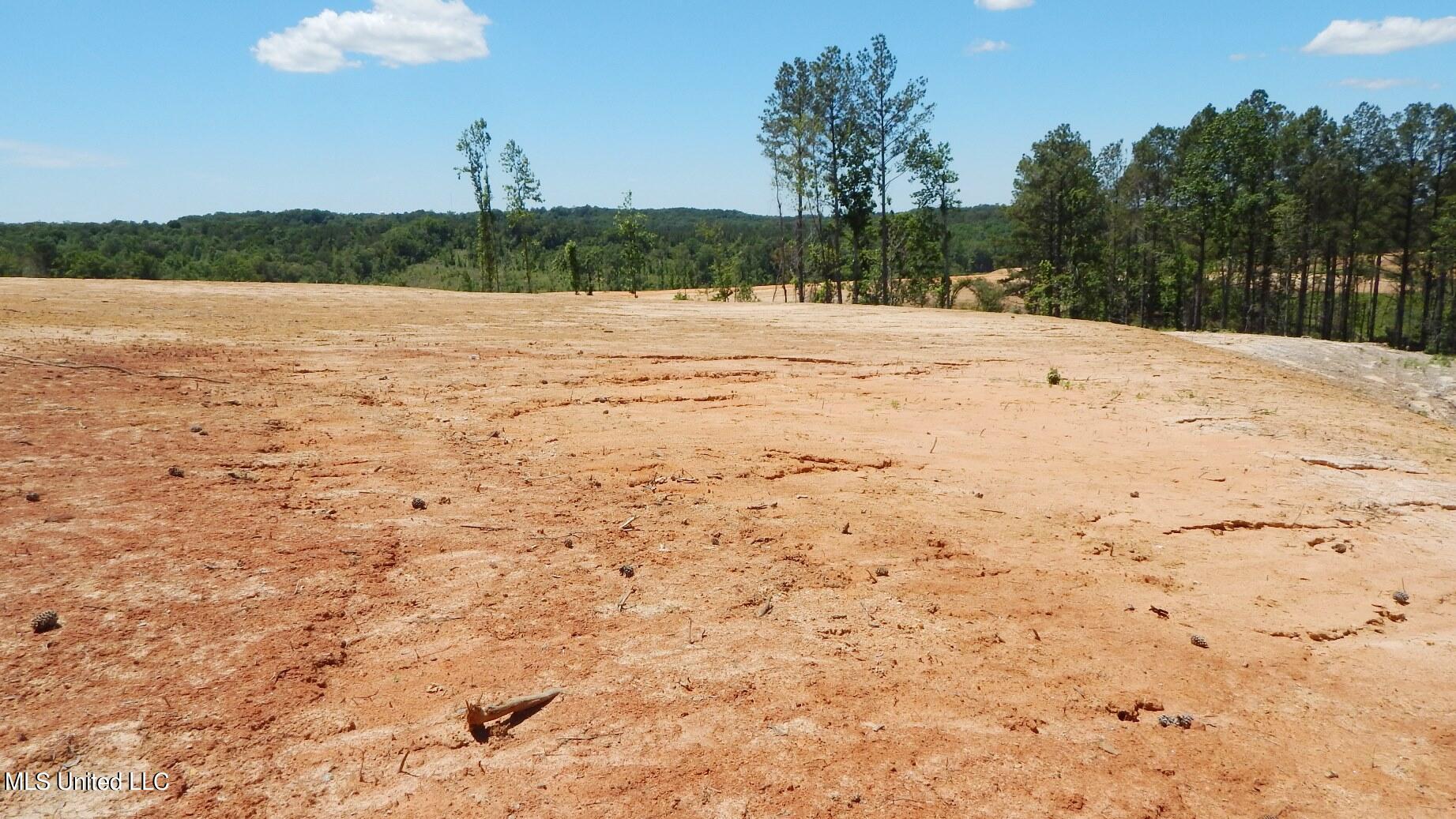 101 Hugh White State Park Road Property Photo 2
