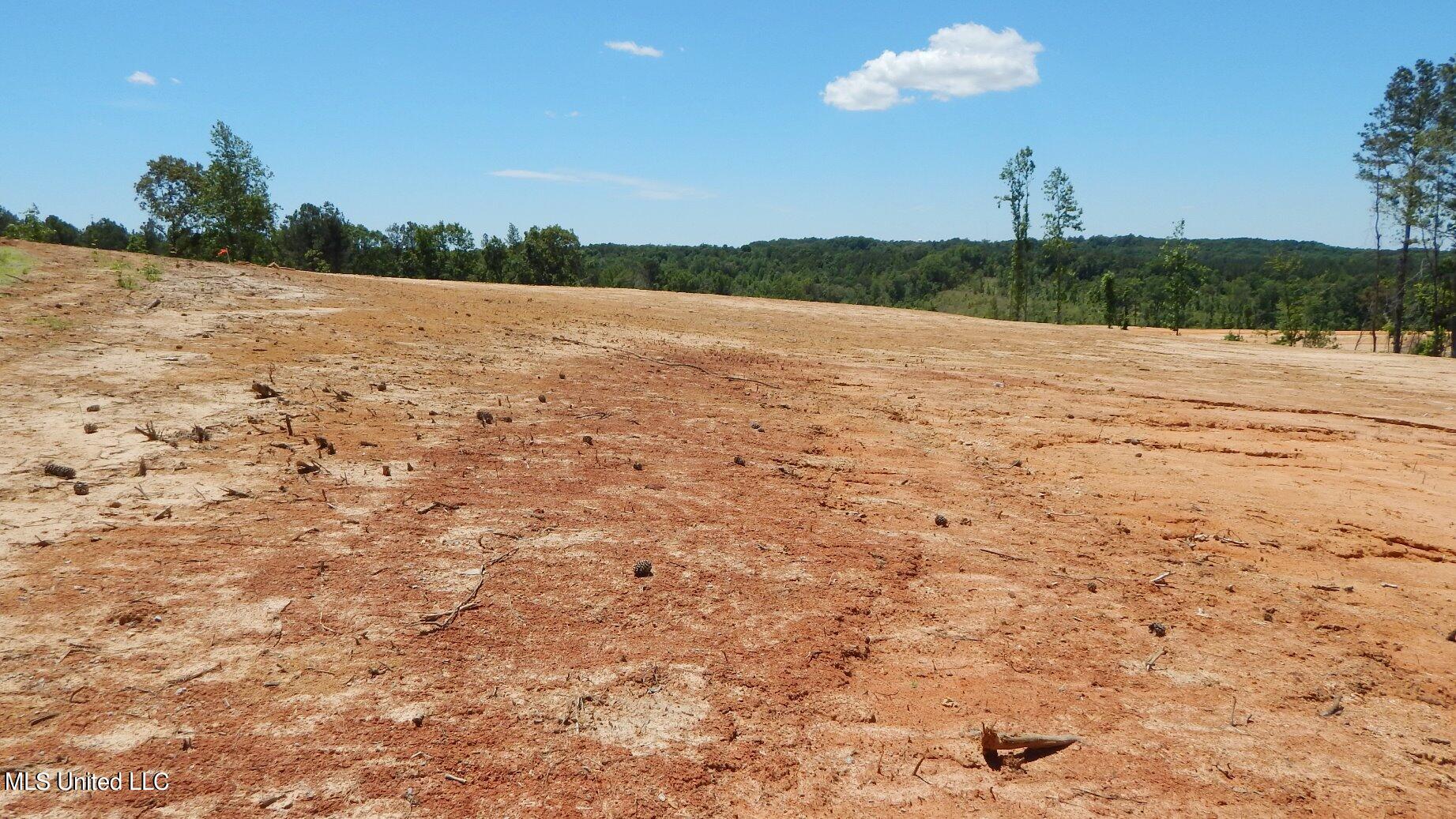 101 Hugh White State Park Road Property Photo 3