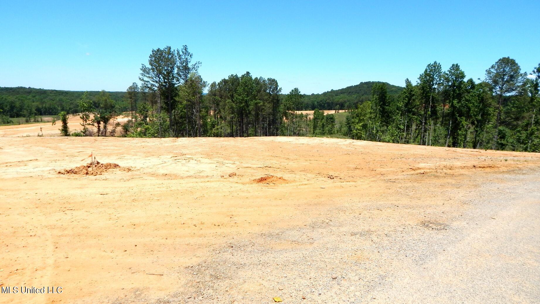 101 Hugh White State Park Road Property Photo 4