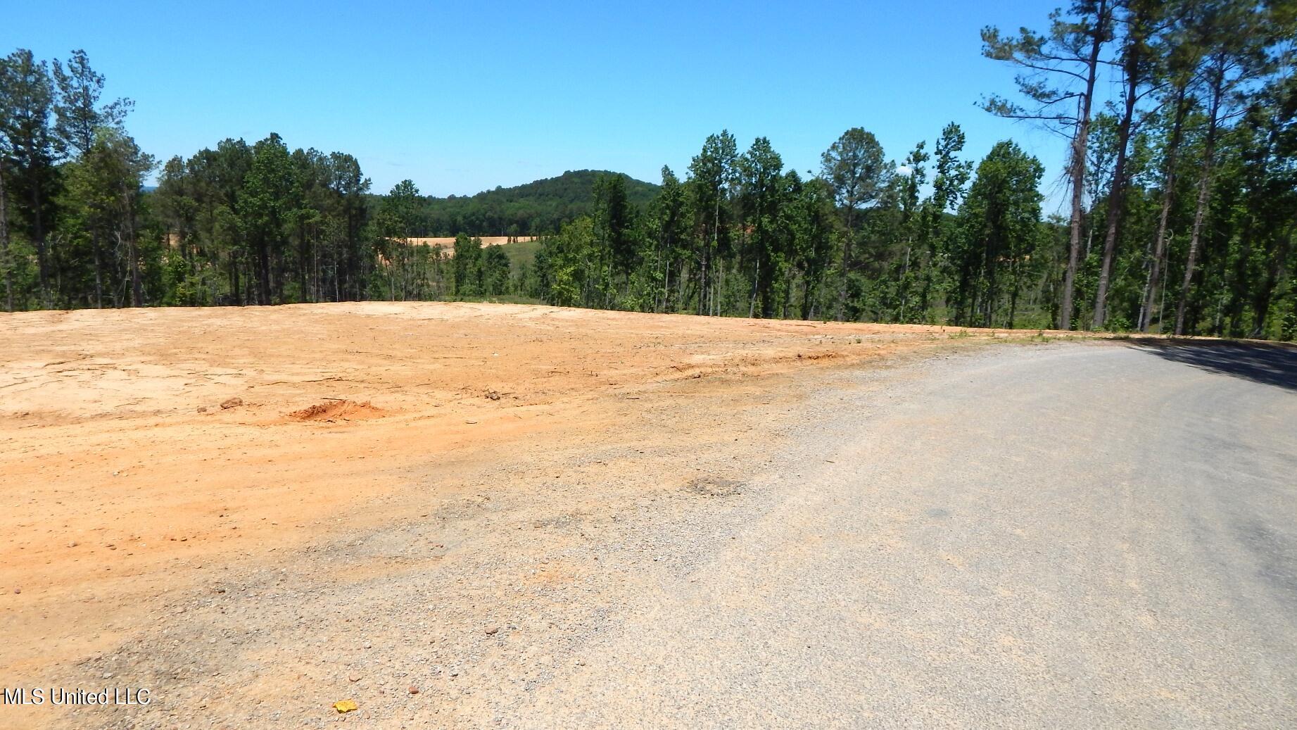101 Hugh White State Park Road Property Photo 5