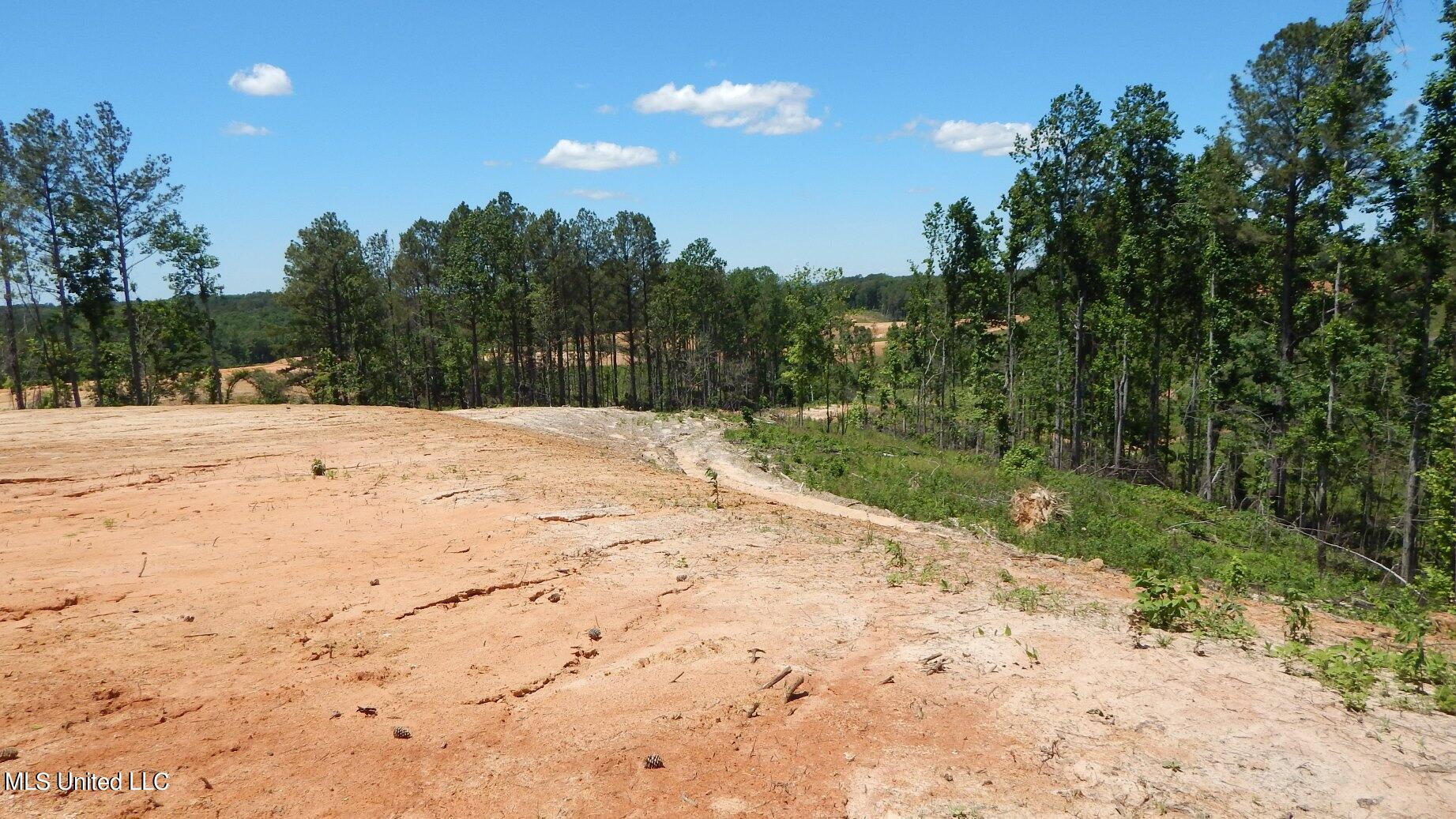 101 Hugh White State Park Road Property Photo 6