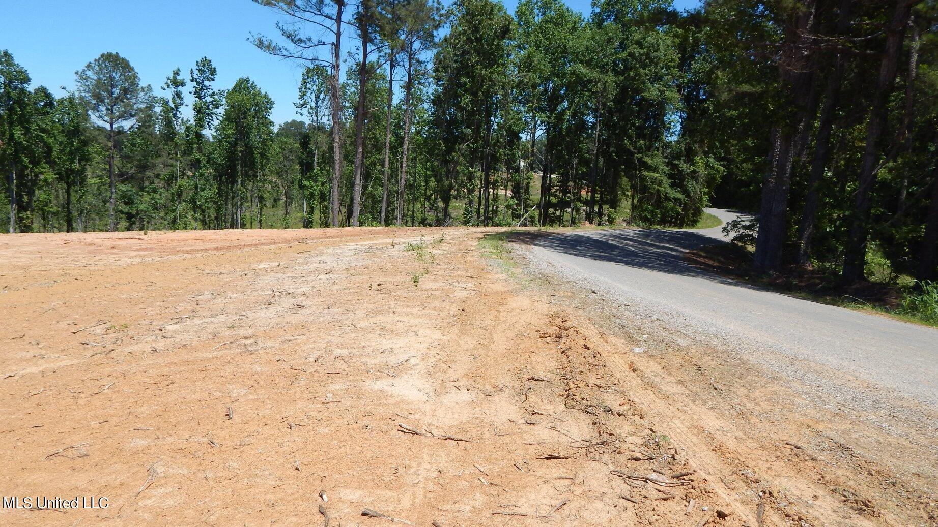 101 Hugh White State Park Road Property Photo 8