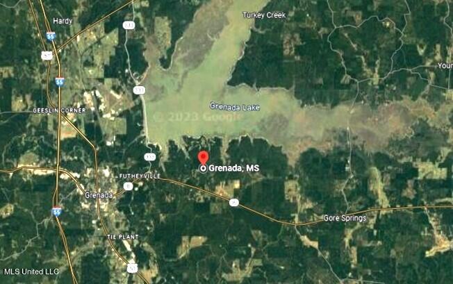 101 Hugh White State Park Road Property Photo 12