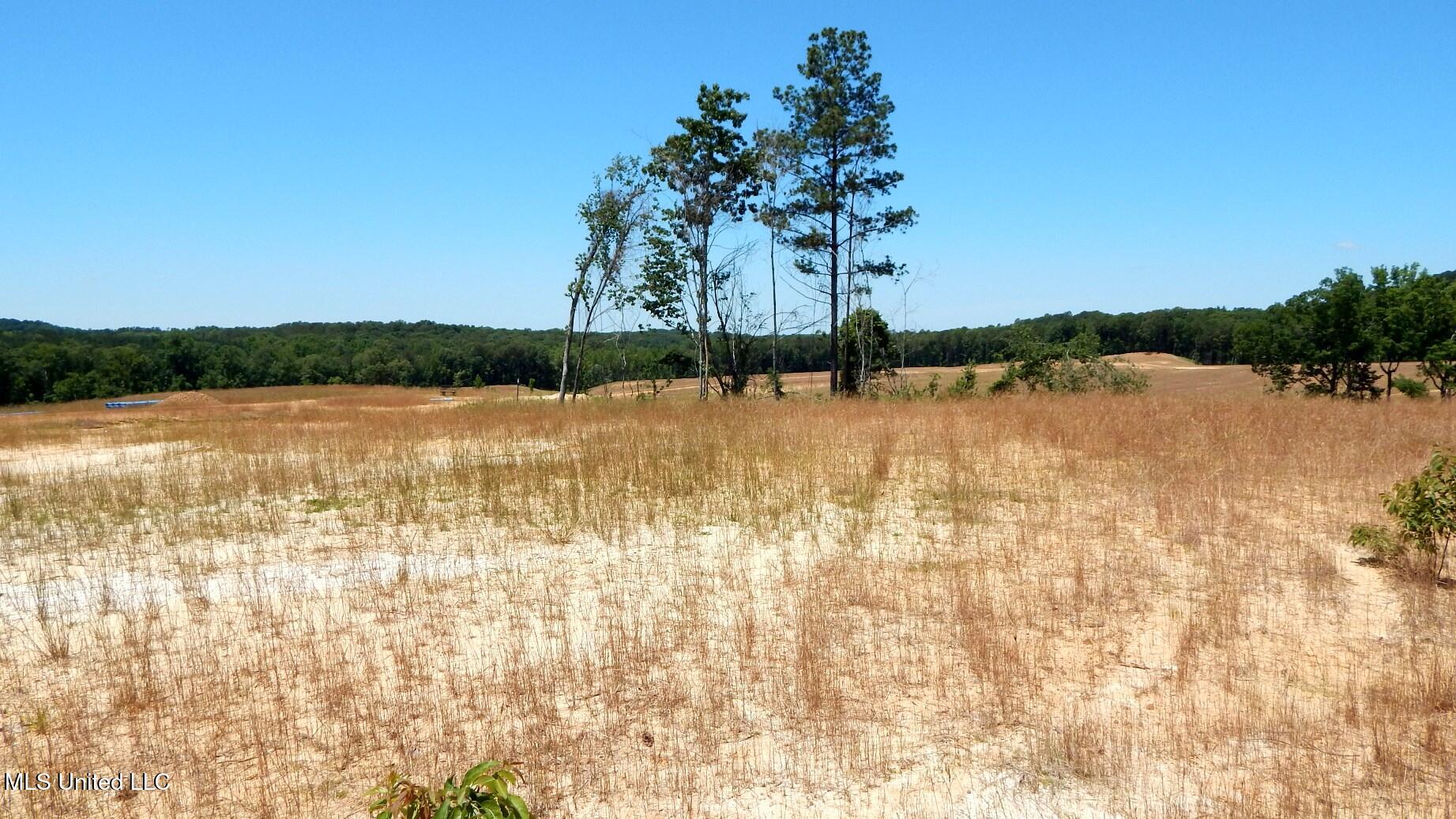 102 Hugh White State Park Road Property Photo 1