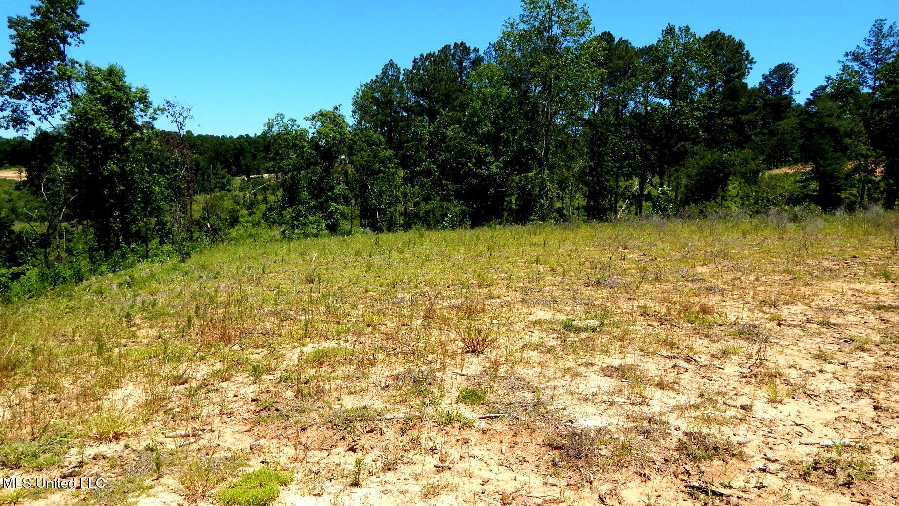 102 Hugh White State Park Road Property Photo 2
