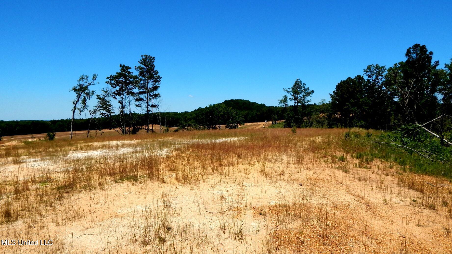 102 Hugh White State Park Road Property Photo 3