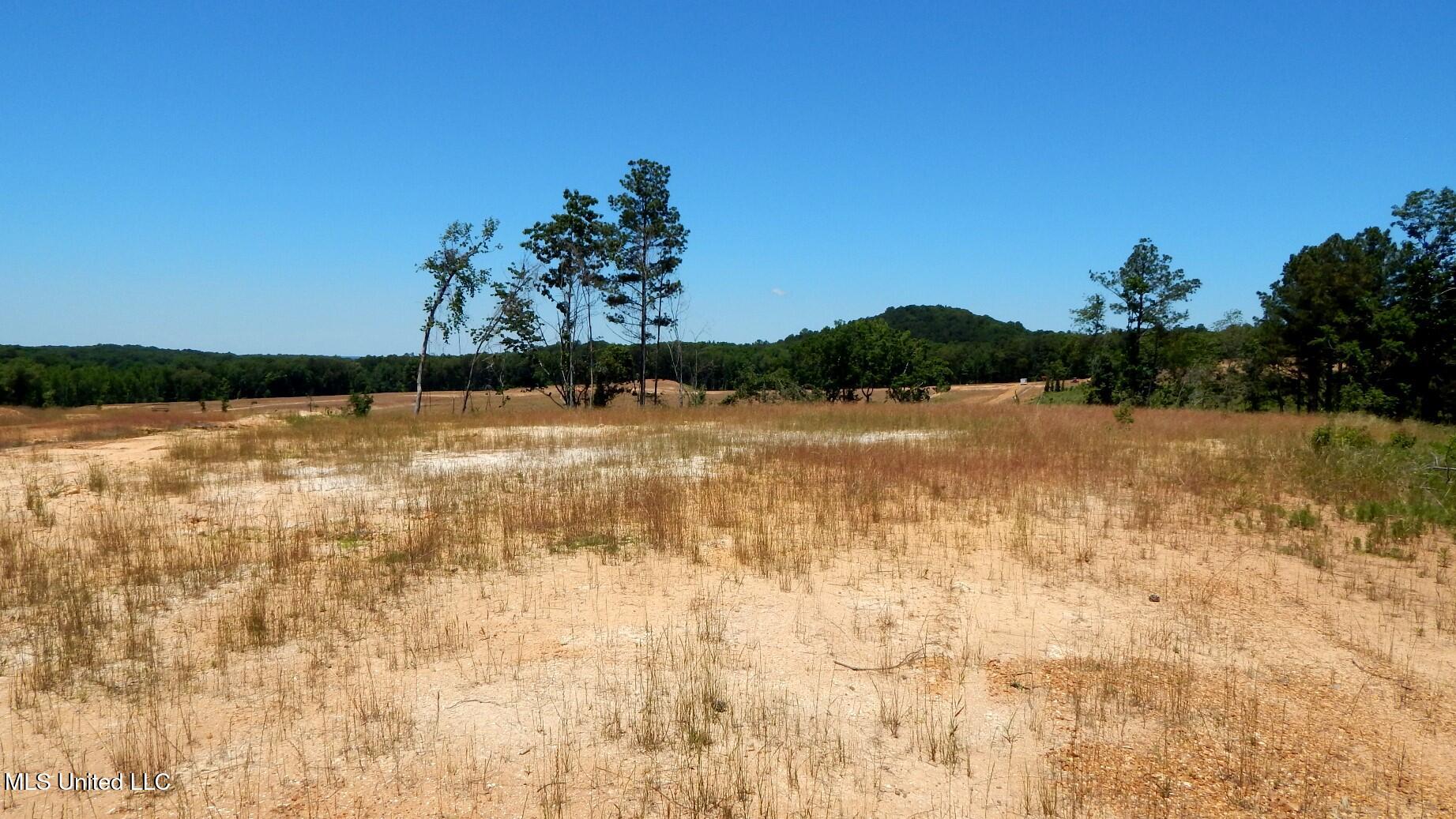 102 Hugh White State Park Road Property Photo 4