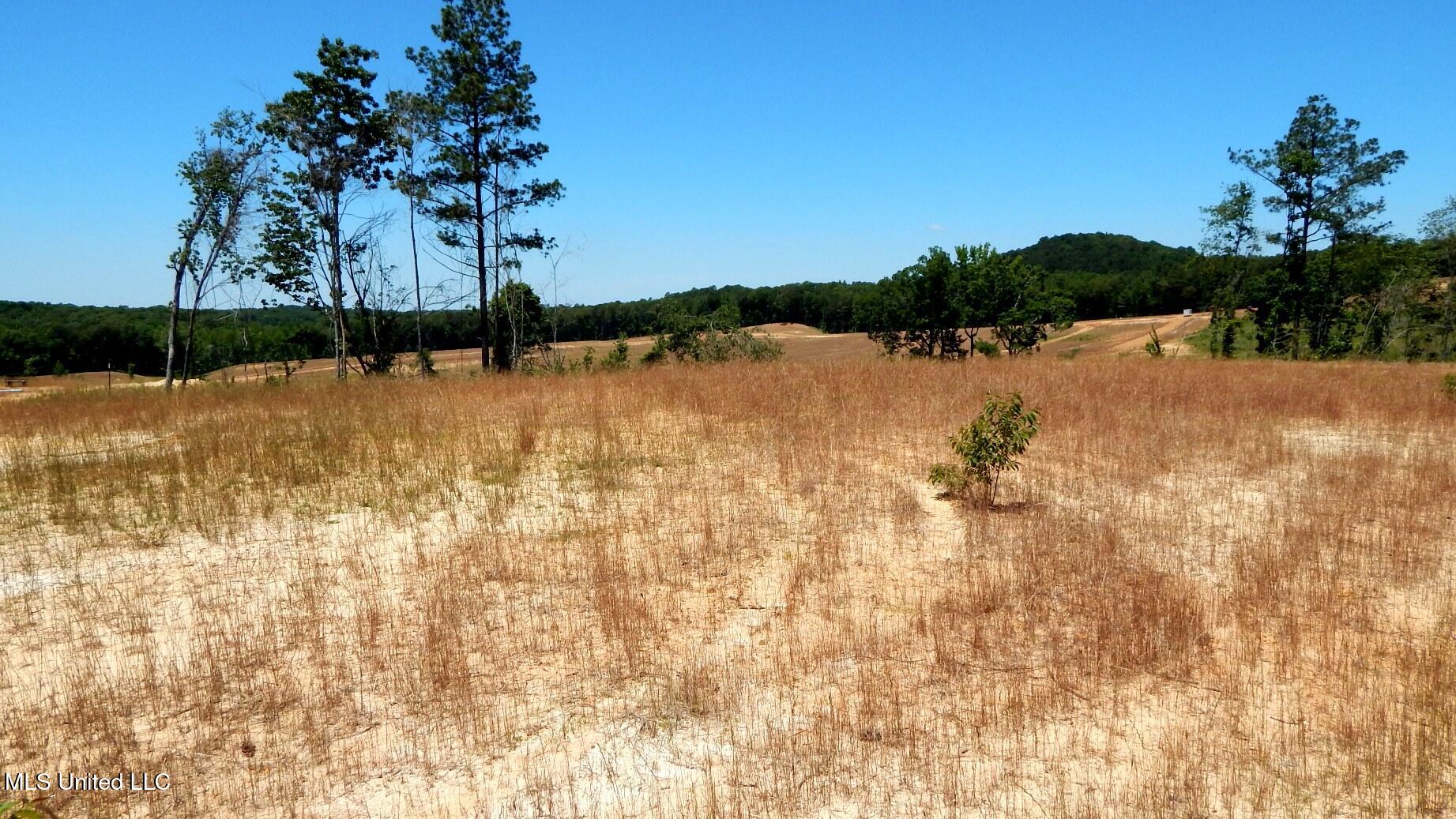 102 Hugh White State Park Road Property Photo 5