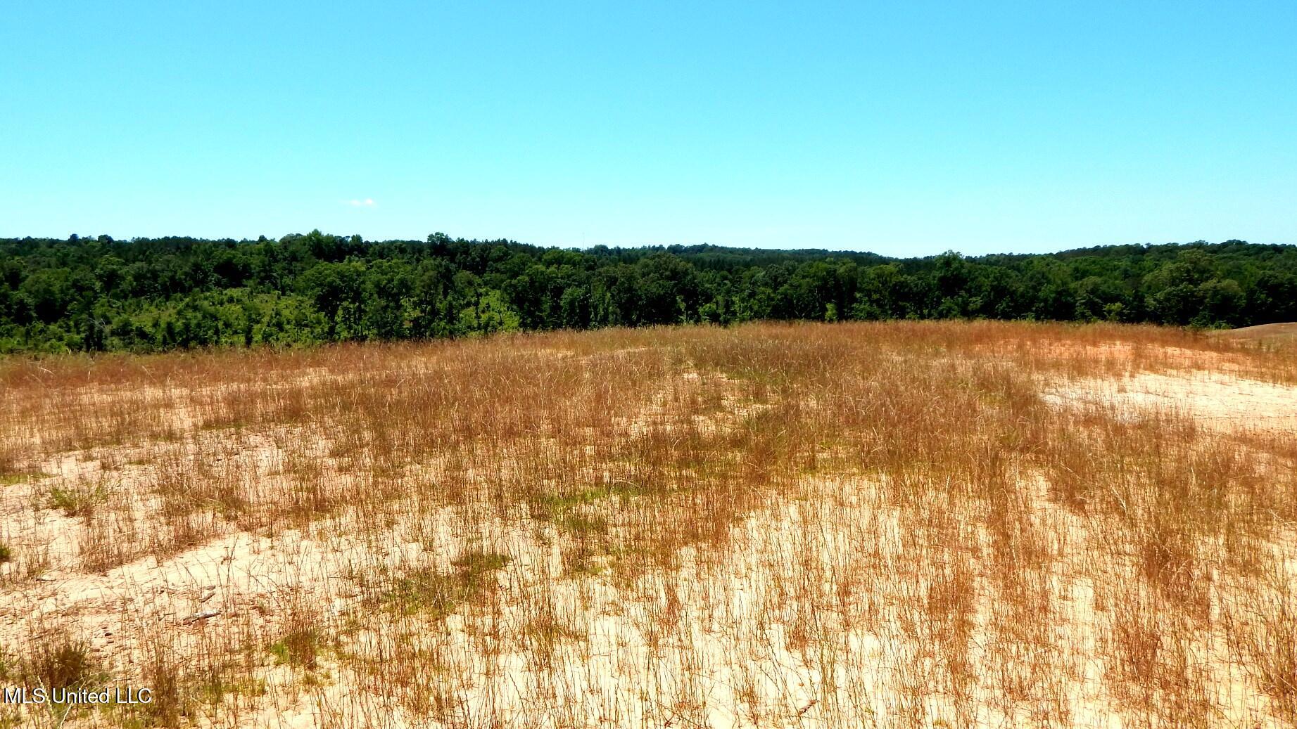 103 Hugh White State Park Road Property Photo 1