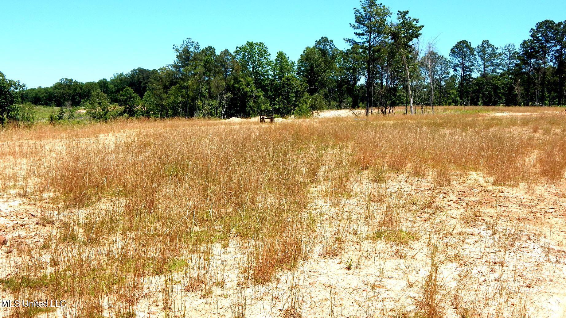 103 Hugh White State Park Road Property Photo 3