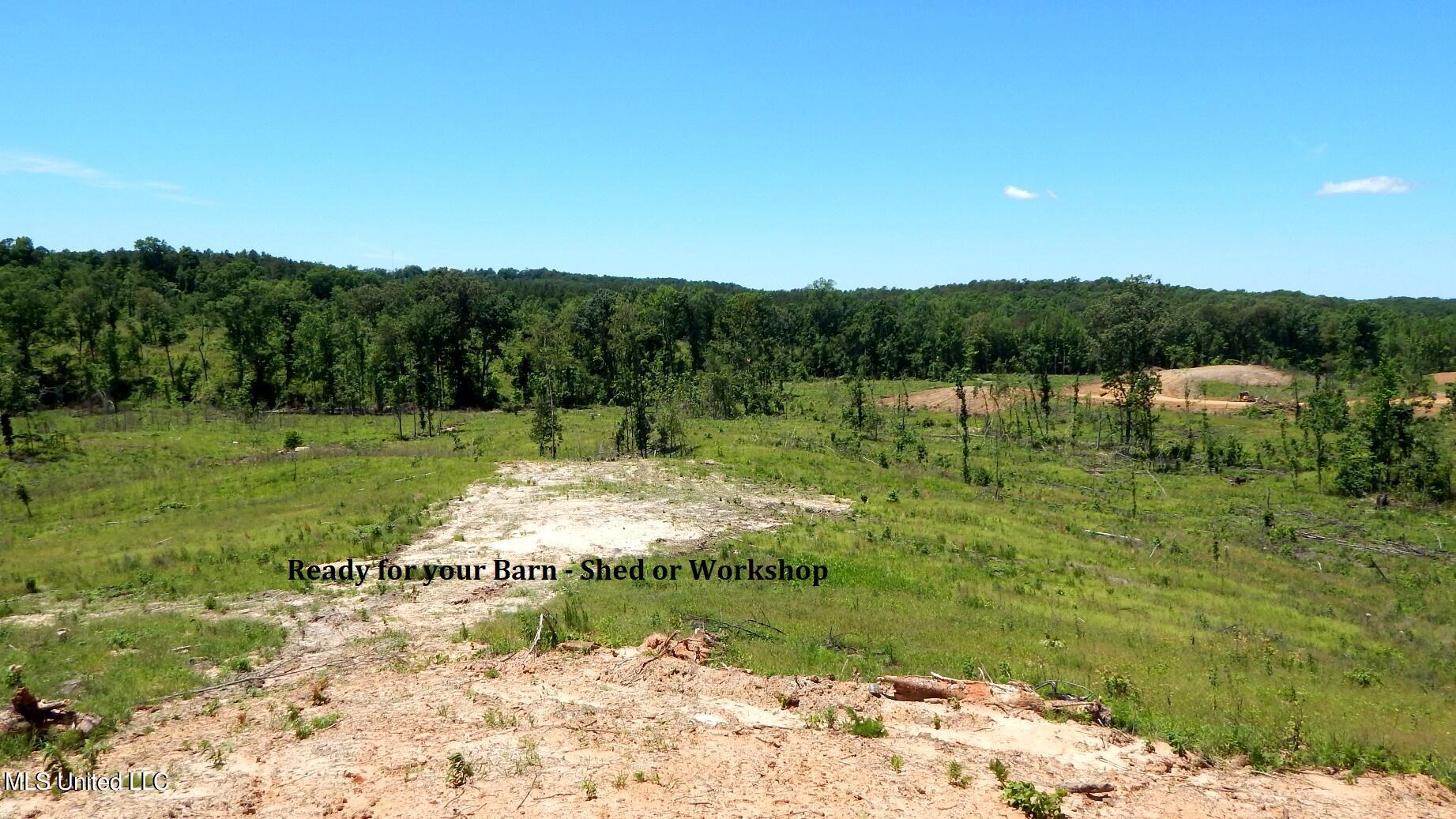 103 Hugh White State Park Road Property Photo 4