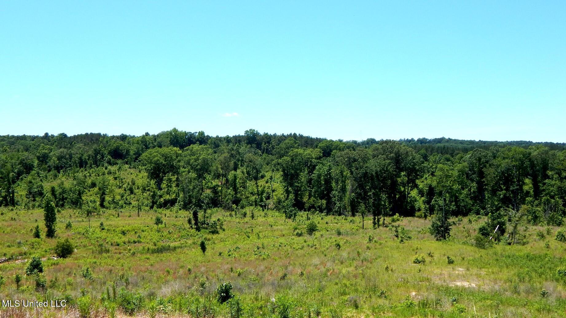 103 Hugh White State Park Road Property Photo 5