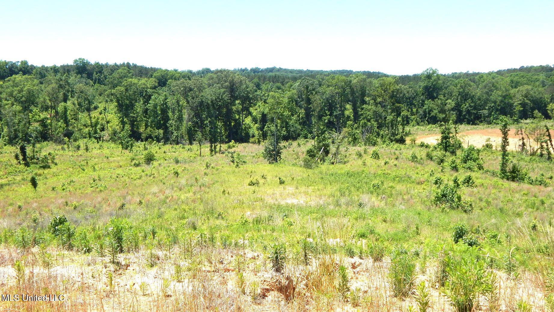 103 Hugh White State Park Road Property Photo 6