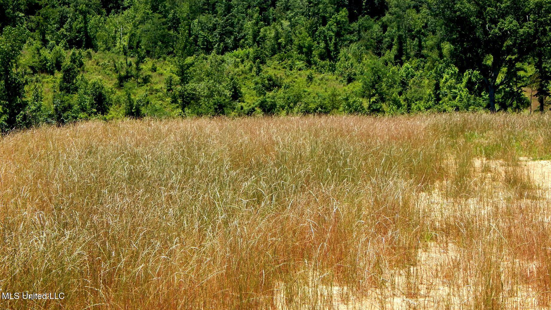 104 Hugh White State Park Road Property Photo 1
