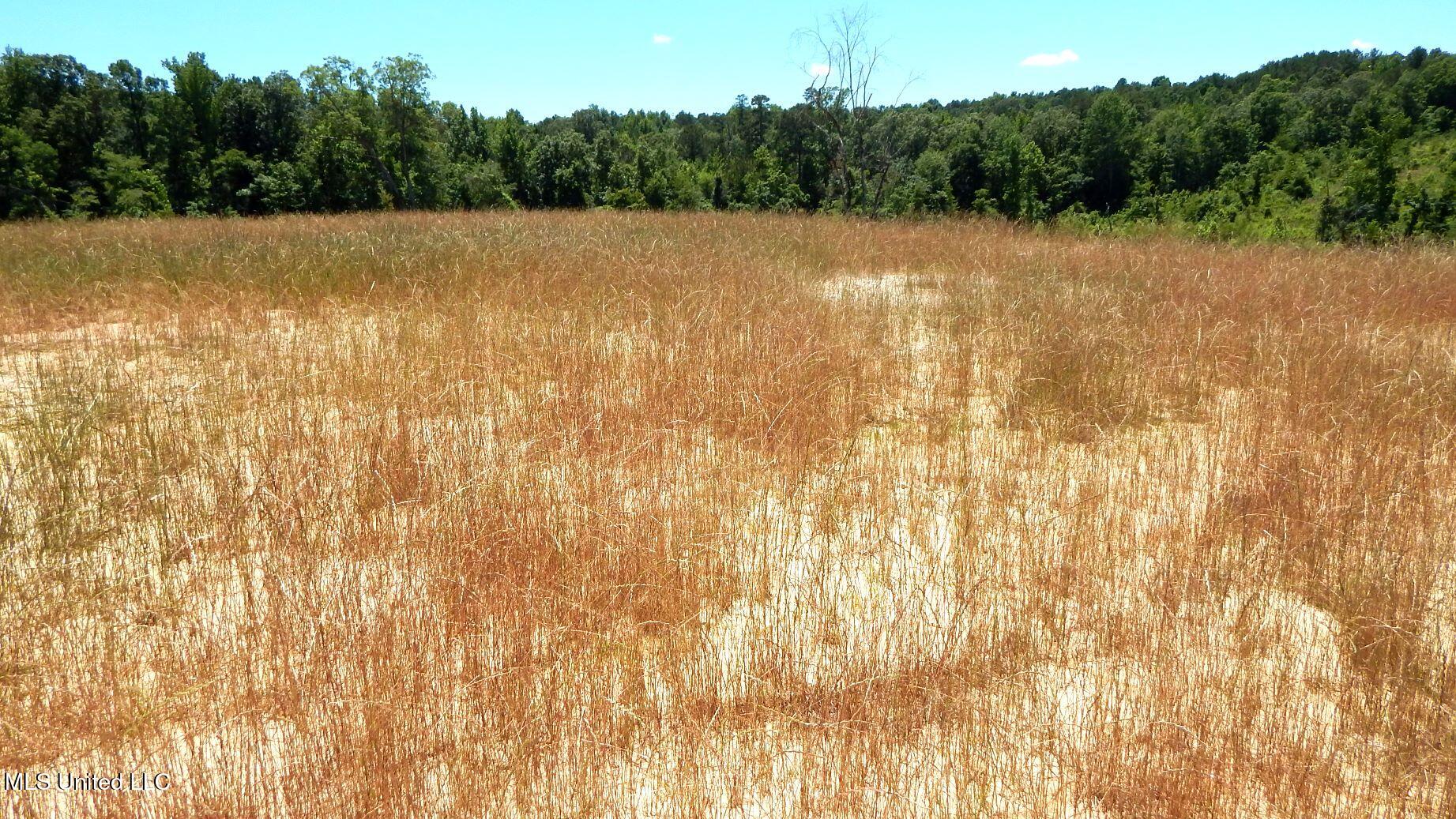 104 Hugh White State Park Road Property Photo 2