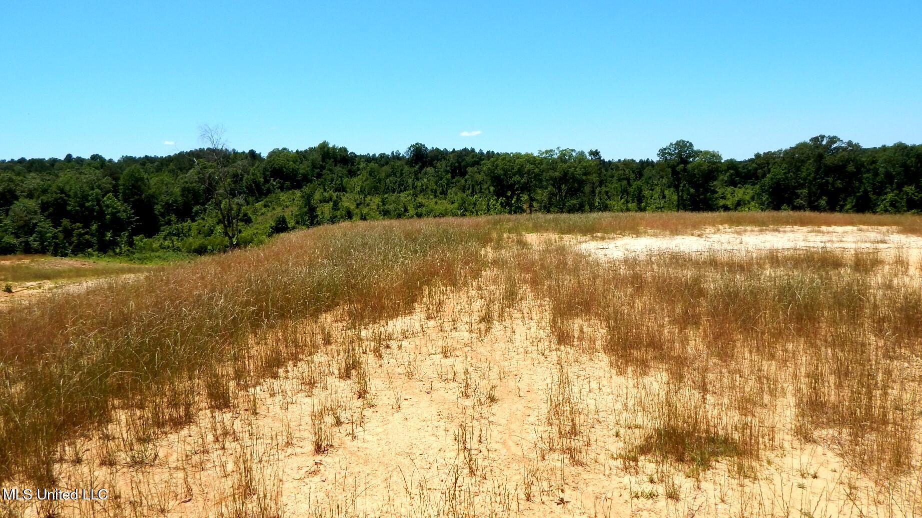 104 Hugh White State Park Road Property Photo 3